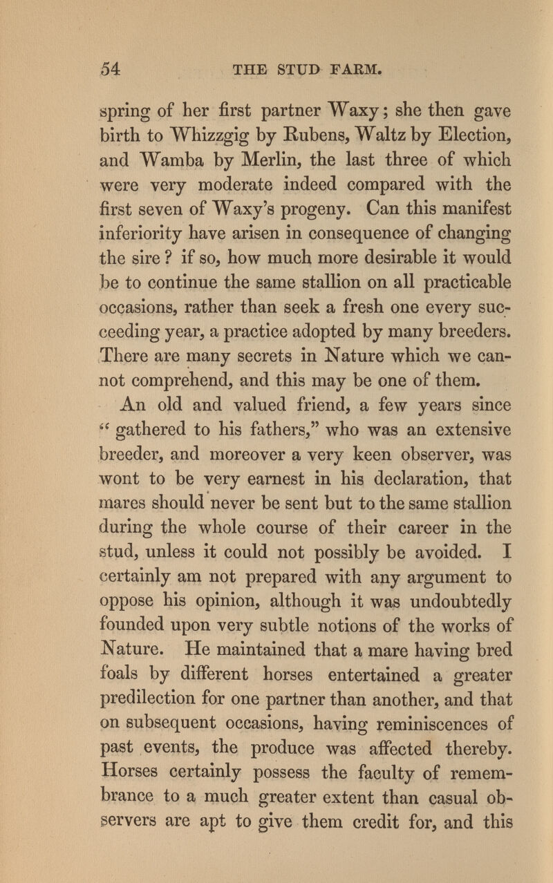 54 THE STUD FARM. spring of her first partner Waxy ; she then gave birth to Whizzgig by Rubens, Waltz by Election, and Wamba by Merlin, the last three of which were very moderate indeed compared with the first seven of Waxy's progeny. Can this manifest inferiority have arisen in consequence of changing the sire ? if so, how much more desirable it would be to continue the same stallion on all practicable occasions, rather than seek a fresh one every suc¬ ceeding year, a practice adopted by many breeders. There are many secrets in Nature which we can¬ not comprehend, and this may be one of them. An old and valued friend, a few years since  gathered to his fathers, who was an extensive breeder, and moreover a very keen observer, was wont to be very earnest in his declaration, that mares should never be sent but to the same stallion during the whole course of their career in the stud, unless it could not possibly be avoided. I certainly am not prepared with any argument to oppose his opinion, although it was undoubtedly founded upon very subtle notions of the works of Nature. He maintained that a mare having bred foals by different horses entertained a greater predilection for one partner than another, and that on subsequent occasions, having reminiscences of past events, the produce was affected thereby. Horses certainly possess the faculty of remem¬ brance to a much greater extent than casual ob¬ servers are apt to give them credit for, and this