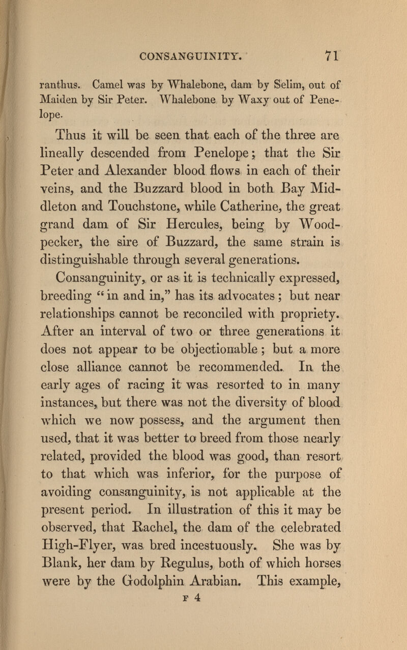 CONSANGUINITY. 71 ranthus. Camel was by Whalebone, dam by Selim, out of Maiden by Sir Peter. Whalebone by Waxy oat of Pene¬ lope. Thus it will be seen that each of the three are lineally descended from Penelope; that tlie Sir Peter and Alexander blood flows in each of their veins, and the Buzzard blood in both Bay Mid- dleton and Touchstone, while Catherine, the great grand dam. of Sir Hercules, being by Wood¬ pecker, the sire of Buzzard, the same strain is distinguishable through several generations. Consanguinity, or as« it is technically expressed, breeding  in and in, has its advocates ; but near relationships cannot be reconciled with propriety. After an interval of two or three generations it does not appear to be objectionable ; but a more close alliance cannot be recommended.. In the early ages of racing it was resorted to in many instances, but there was not the diversity of blood which we now possess, and the argument then used, that it was better to breed from those nearly related, provided the blood was good, than resort to that which was inferior, for the purpose of avoiding consanguinity, is not applicable at the present period. In illustration of this it may be observed, that Bachel, the dam of the celebrated High-Flyer, was. bred incestuously. She was by Blank, her dam by Begulus, both of which horses were by the Godolphin Arabian, This example, г 4