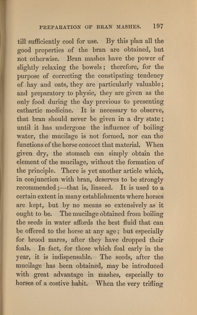 PREPARATION OF BRAN MASHES. 197 till sufficiently cool for use. By this plan all the good properties of the bran are obtained, but not otherwise. Bran mashes have the power of slightly relaxing the bowels ; therefore, for the purpose of correcting the constipating tendency of hay and oats, they are particularly valuable ; and preparatory to physic, they are given as the only food during the day previous to presenting cathartic medicine. It is necessary to observe, that bran should never be given in a dry state ; until it has undergone the influence of boiling water, the mucilage is not formed, nor can the functions of the horse concoct that material. When given dry, the stomach can simply obtain the element of the mucilage, without the formation of the principle. There is yet another article which, in conjunction with bran, deserves to be strongly recommended —that is, linseed. It is used to a certain extent in many establishments where horses are kept, but by no means so extensively as it ought to be. The mucilage obtained from boiling the seeds in water aíFords the best fluid that can be oiFered to the horse at any age ; but especially for brood mares, after they have dropped their foals. In fact, for those which foal early in the year, it is indispensable. The seeds, after the mucilage has been obtained, may be introduced with great advantage in mashes, especially to horses of a costive habit. When the very trifling