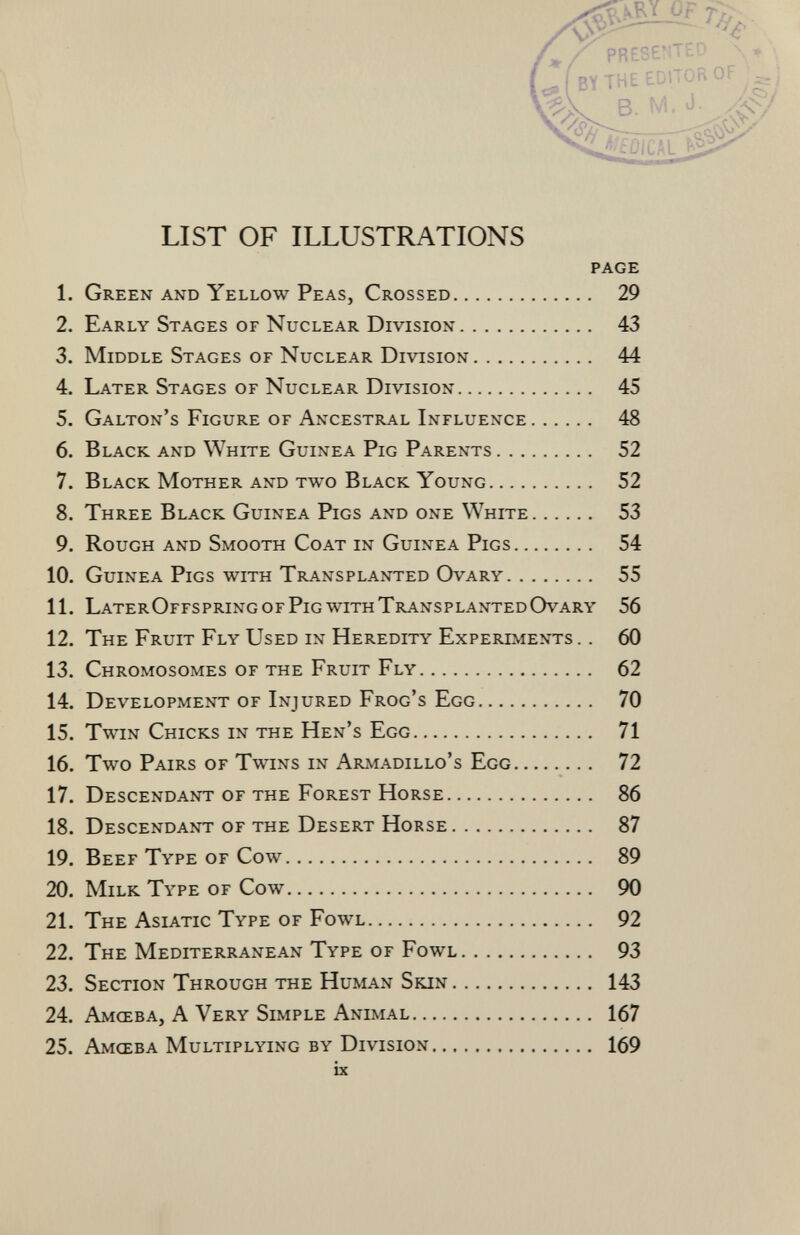 jr presented \* wrrrr# V9^ B - >&/ viyY; -^y ^ ^^fDlCAL LIST OF ILLUSTRATIONS page 1. Green and Yellow Peas, Crossed 29 2. Early Stages of Nuclear Division 43 3. Middle Stages of Nuclear Division 44 4. Later Stages of Nuclear Division 45 5. Galton's Figure of Ancestral Influence 48 6. Black and White Guinea Pig Parents 52 7. Black Mother and two Black Young 52 8. Three Black Guinea Pigs and one White 53 9. Rough and Smooth Coat in Guinea Pigs 54 10. Guinea Pigs with Transplanted Ovary 55 11. LaterOffspring of Pig with Transplanted Ovary 56 12. The Fruit Fly Used in Heredity Experiments .. 60 13. Chromosomes of the Fruit Fly 62 14. Development of Injured Frog's Egg 70 15. Twin Chicks in the Hen's Egg 71 16. Two Pairs of Twins in Armadillo's Egg 72 17. Descendant of the Forest Horse 86 18. Descendant of the Desert Horse 87 19. Beef Type of Cow 89 20. Milk Type of Cow 90 21. The Asiatic Type of Fowl 92 22. The Mediterranean Type of Fowl 93 23. Section Through the Human Skin 143 24. Amœba, A Very Simple Animal 167 25. Amœba Multiplying by Division 169 ix