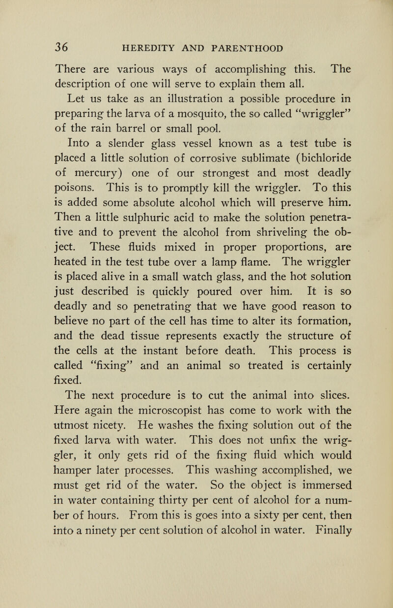 There are various ways of accomplishing this. The description of one will serve to explain them all. Let us take as an illustration a possible procedure in preparing the larva of a mosquito, the so called wriggler of the rain barrel or small pool. Into a slender glass vessel known as a test tube is placed a little solution of corrosive sublimate (bichloride of mercury) one of our strongest and most deadly poisons. This is to promptly kill the wriggler. To this is added some absolute alcohol which will preserve him. Then a little sulphuric acid to make the solution penetra tive and to prevent the alcohol from shriveling the ob ject. These fluids mixed in proper proportions, are heated in the test tube over a lamp flame. The wriggler is placed alive in a small watch glass, and the hot solution just described is quickly poured over him. It is so deadly and so penetrating that we have good reason to believe no part of the cell has time to alter its formation, and the dead tissue represents exactly the structure of the cells at the instant before death. This process is called fixing and an animal so treated is certainly fixed. The next procedure is to cut the animal into slices. Here again the microscopist has come to work with the utmost nicety. He washes the fixing solution out of the fixed larva with water. This does not unfix the wrig gler, it only gets rid of the fixing fluid which would hamper later processes. This washing accomplished, we must get rid of the water. So the object is immersed in water containing thirty per cent of alcohol for a num ber of hours. From this is goes into a sixty per cent, then into a ninety per cent solution of alcohol in water. Finally