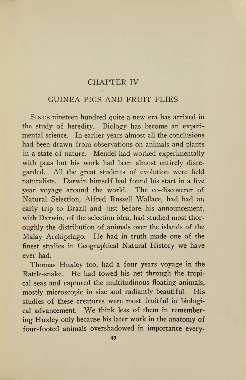 CHAPTER IV GUINEA PIGS AND FRUIT FLIES S ince nineteen hundred quite a new era has arrived in the study of heredity. Biology has become an experi mental science. In earlier years almost all the conclusions had been drawn from observations on animals and plants in a state of nature. Mendel h¿d worked experimentally with peas but his work had been almost entirely disre garded. All the great students of evolution were field naturalists. Darwin himself had found his start in a five year voyage around the world. The co-discoverer of Natural Selection, Alfred Russell Wallace, had had an early trip to Brazil and just before his announcement, with Darwin, of the selection idea, had studied most thor oughly the distribution of animals over the islands of the Malay Archipelago. He had in truth made one of the finest studies in Geographical Natural History we have ever had. Thomas Huxley too, had a four years voyage in the Rattle-snake. He had towed his net through the tropi cal seas and captured the multitudinous floating animals, mostly microscopic in size and radiantly beautiful. His studies of these creatures were most fruitful in biologi cal advancement. We think less of them in remember ing Huxley only because his later work in the anatomy of four-footed animals overshadowed in importance every- 49