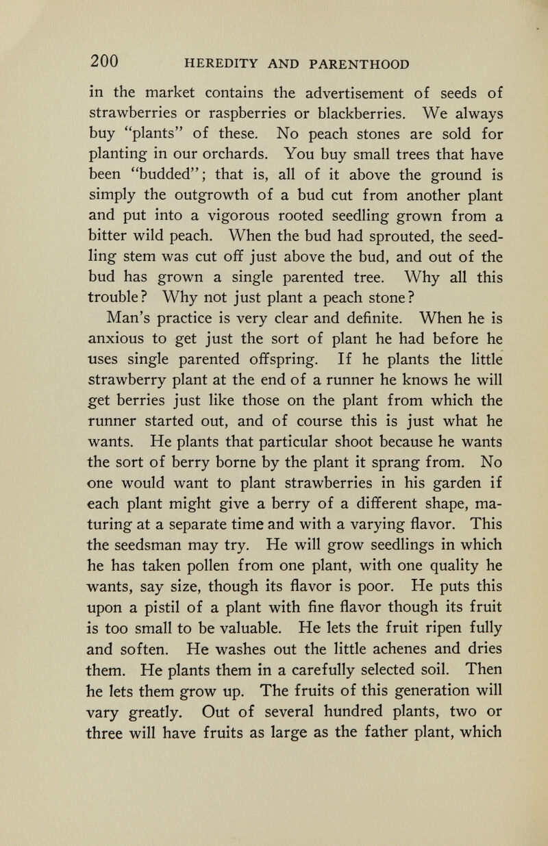 in the market contains the advertisement of seeds of strawberries or raspberries or blackberries. We always buy plants of these. No peach stones are sold for planting in our orchards. You buy small trees that have been budded; that is, all of it above the ground is simply the outgrowth of a bud cut from another plant and put into a vigorous rooted seedling grown from a bitter wild peach. When the bud had sprouted, the seed ling stem was cut off just above the bud, and out of the bud has grown a single parented tree. Why all this trouble? Why not just plant a peach stone? Man's practice is very clear and definite. When he is anxious to get just the sort of plant he had before he uses single parented offspring. If he plants the little strawberry plant at the end of a runner he knows he will get berries just like those on the plant from which the runner started out, and of course this is just what he wants. He plants that particular shoot because he wants the sort of berry borne by the plant it sprang from. No one would want to plant strawberries in his garden if each plant might give a berry of a different shape, ma turing at a separate time and with a varying flavor. This the seedsman may try. He will grow seedlings in which he has taken pollen from one plant, with one quality he wants, say size, though its flavor is poor. He puts this upon a pistil of a plant with fine flavor though its fruit is too small to be valuable. He lets the fruit ripen fully and soften. He washes out the little achenes and dries them. He plants them in a carefully selected soil. Then he lets them grow up. The fruits of this generation will vary greatly. Out of several hundred plants, two or three will have fruits as large as the father plant, which