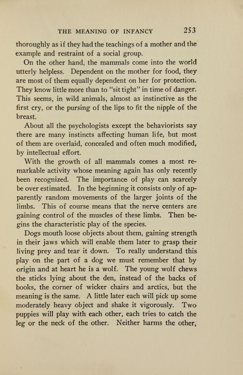 thoroughly as if they had the teachings of a mother and the example and restraint of a social group. On the other hand, the mammals come into the world utterly helpless. Dependent on the mother for food, they are most of them equally dependent on her for protection. They know little more than to sit tight in time of danger. This seems, in wild animals, almost as instinctive as the first cry, or the pursing of the lips to fit the nipple of the breast. About all the psychologists except the behaviorists say there are many instincts affecting human life, but most of them are overlaid, concealed and often much modified, by intellectual effort. With the growth of all mammals comes a most re markable activity whose meaning again has only recently been recognized. The importance of play can scarcely be over estimated. In the beginning it consists only of ap parently random movements of the larger joints of the limbs. This of course means that the nerve centers are gaining control of the muscles of these limbs. Then be gins the characteristic play of the species. Dogs mouth loose objects about them, gaining strength in their jaws which will enable them later to grasp their living prey and tear it down. To really understand this play on the part of a dog we must remember that by origin and at heart he is a wolf. The young wolf chews the sticks lying about the den, instead of the backs of books, the corner of wicker chairs and arctics, but the meaning is the same. A little later each will pick up some moderately heavy object and shake it vigorously. Two puppies will play with each other, each tries to catch the leg or the neck of the other. Neither harms the other,