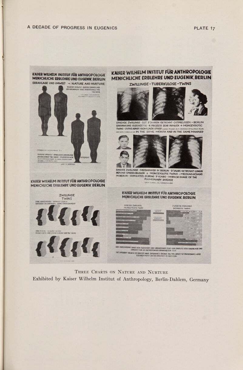 KAIIER WIIHEIM INiTITUT FÜR ANTHROPOLOGIE MENSCHLICHE ERBLEHRE UND EUGENIK BERLIN ERBANLAGE UND UMWEIT - NATURE AND NURTURE! ©LEICHE UMWEIT- GtBCHÍ ERBANLAGE ENVIRONMENT AND INHERITANCE ARE THE SAME KAHER WIIHEIM INiTITUT FÜR ANTHROPOLOGIE MENiCHLICHE ERBLEHRE UND EUGENIK BERLIN zwillinge twins ERBE VB?SO)!£DEN UMWELT SIEICH ÖFTEREM INHERITANCE - SAME ENVIRONMENT i*UU fwe€leïo. u jmw 5i;tcm »N4i« ts«ct ANOcNvtR ' -MlrNT AtfETWC SAME (<UU KAKER WILHELM INSTITUT FÜR ANTHROPOLOGIE MENSCHLICHE ERBLEHRE UND EUGENIK, BERLIN ZWILUN6E -TUBERKULOSE -TWINS EINEIIGE ZWILLINGE - SEIT 97AHREN GETRENNT OSTPREUSSEN - BERLIN ERKRANKUNG GLEICHZE'TIG - K-PROZESS SEHR AHNLICH + MONOZYGOTIC TWINS - LIVING APART FROM EACH OTHER down© 9yea*s in a »stance of  kcmhes rmu * ara with wnsaxose IN THE SAME MONTH AND IN THE SAME MANNEP ONEIIGE ZWILLINGE -MECHANIKER IN BERLIN - 9JAHRE GETRENNT- lung0* BEFUND SPIEGEL BILDLICH + MONOZYGOTIC TWINS - MECHANICIANS !N BERLÍN - SEPARATED DURING 9 YEARS - MIRROR-IMAGE Of THE PULMONARY DISEASE NACH < »SHU Ov VEBSCMUEC KAIKP WIIHEIM IfWrTUT FÜR ANTHROPOLOGIE MENICHLICHE ERBLEHRE UND EUGENIK. BERLIN EJNEifâE ZwailNSfc MONOZVGOTK TWINS ZWEIEIIGE ZWlitlNGE DTZVGOTiC TWINS MÄ VEfiSCH«»« 3¡A¿ von guwwejt uno UNGiDOHEIT zeigt- DEM qmruss von ERSAMAGtUWD <ímw61t fus dí£ betreffenden kranithéiten eot ÎHi omm* oégsïe Of iknt .Tr and DffFIRENCE SHOWS THE iNfí 'jéncíxx inkerftance and ENVIRONMENT ON THE «S4ASE : S cxieïfoi, T hree C harts on N ature and N urture Exhibited by Kaiser Wilhelm Institut of Anthropology, Berlin-Dahlem, Germany