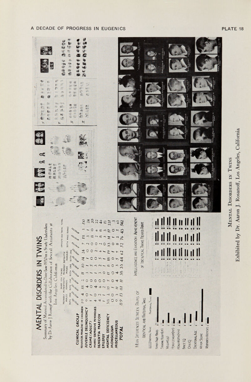 MENTAL DISORDERS IN TWINS Summary of Material Accumulateli toDatelj*»' I9.3i2)m a Study Undertaken by Y)r\jron J \a{ttn0)f wnh the Collaboration ol Several Assistants at Los Angeles, Ca Itfornia SAME-SEX TWINS OPPOSITE SEX TWINS TOTAL PROBABLY MONOZYGOTIC PROBABLY DIZYGOTIC ABALES FEMALES MALES EEMALIS BOTH MALE HMAlE BOTH ONE BOTH ONE 60TH ONE BOTH ONE CLINICAL GROUP / / / / / £ / / / / ¿9 / £ / í / BEHAVIOR PR06LLMS IN CHILDREN 19 4 /8 2 // lo /4 24 7 /8 3 m JUVENILE DELINQUENCY 9 O 4 O 3 1 / O 2 3 / 24 CRIME (ADULT) .5 / O O / 5 o O O 8 O 20 /AANIC- DEPRSSIVE PSYCHOSES 4 O 4 O / 3 o 2 O 2 6 22 DEMENTIA PRAECOX 4 2 6 o 3 2 5 6 2 8 8 46 EPILEPSY 1 1 2 o o 1 / / O 3 3 li MENTAL DEFICIENCY 18 1 35 5 /5 8 IB /9 33 31 17 221 MONGOLISM O O 1 O O O o / O ! O 3 MISCELLANEOUS 9 3 II 4 4 3 5 í» 8 1 5 63 TOTAL 8 9 /3 8/ II >8 33 44 62 J2 76 43 542 Fraternal TWINS I M ean D ifferences B etween R virs or IDENTICAL AND (RATERNW.ÜWS ¡.->'■' 1 lixntlcal tlvins Nmetfi i«6£R tes S tand «, Hc«ffi(cn) VÎCHTÎLù) HEN>LENGMT(Mri) HEAD WiDTM (Mil) 6)N£T IQ OnslQ E ducatknal A«: M otor S core WwttRTItWATHEWS I ntelli gence and E ducation A hievement of I denncal T wins R eared A wrt mm «Kill ? % A * * * ~ ■' i '\ t V ^H r II W e . • : ' ? 5 M 4 ti -r f>*>? 0 - P I- f T m *-? fS Y n ^ 'i! ïï » » $ ■ ' ' * ' ' ® i» ' ^ ö> - - n % '• * & 0 r , * >,? ,r> r y ï23 H* #f • *» ' tx * f&««« fii«Çr> M ental D isorders in T wins Exhibited by Dr. Aaron J. Rosanoff, Los Angeles, California o m O > O m O TI ■o 30 O O 30 m en œ m c O m z o Cfí > H m