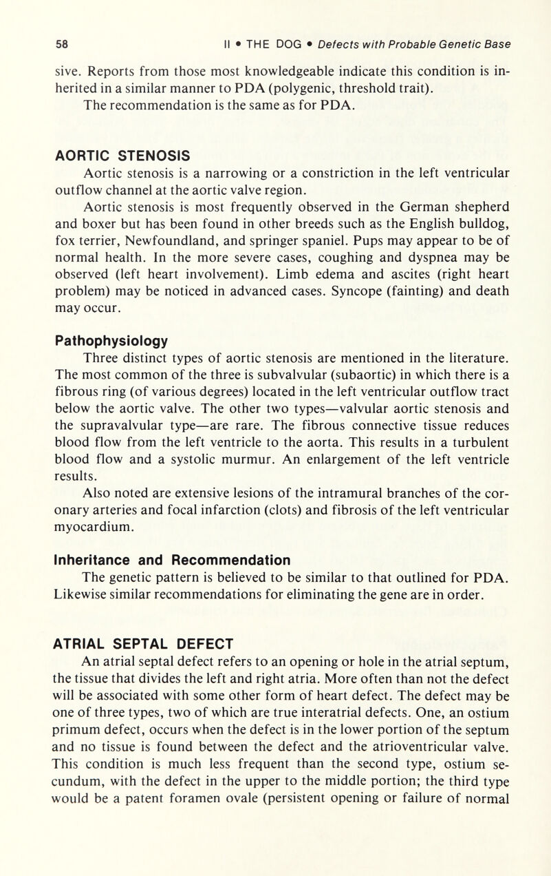 58 II • THE DOG • Defects with Probable Genetic Base sive. Reports from those most knowledgeable indicate this condition is in¬ herited in a similar manner to PDA (polygenic, threshold trait). The recommendation is the same as for PDA. AORTIC STENOSIS Aortic stenosis is a narrowing or a constriction in the left ventricular outflow channel at the aortic valve region. Aortic stenosis is most frequently observed in the German shepherd and boxer but has been found in other breeds such as the Enghsh bulldog, fox terrier, Newfoundland, and springer spaniel. Pups may appear to be of normal health. In the more severe cases, coughing and dyspnea may be observed (left heart involvement). Limb edema and ascites (right heart problem) may be noticed in advanced cases. Syncope (fainting) and death may occur. Pathophysiology Three distinct types of aortic stenosis are mentioned in the literature. The most common of the three is subvalvular (subaortic) in which there is a fibrous ring (of various degrees) located in the left ventricular outflow tract below the aortic valve. The other two types—valvular aortic stenosis and the supravalvular type—are rare. The fibrous connective tissue reduces blood flow from the left ventricle to the aorta. This results in a turbulent blood flow and a systolic murmur. An enlargement of the left ventricle results. Also noted are extensive lesions of the intramural branches of the cor¬ onary arteries and focal infarction (clots) and fibrosis of the left ventricular myocardium. Inheritance and Recommendation The genetic pattern is beheved to be similar to that outlined for PDA. Likewise similar recommendations for eliminating the gene are in order. ATRIAL SEPTAL DEFECT An atrial septal defect refers to an opening or hole in the atrial septum, the tissue that divides the left and right atria. More often than not the defect will be associated with some other form of heart defect. The defect may be one of three types, two of which are true interatrial defects. One, an ostium primum defect, occurs when the defect is in the lower portion of the septum and no tissue is found between the defect and the atrioventricular valve. This condition is much less frequent than the second type, ostium se¬ cundum, with the defect in the upper to the middle portion; the third type would be a patent foramen ovale (persistent opening or failure of normal