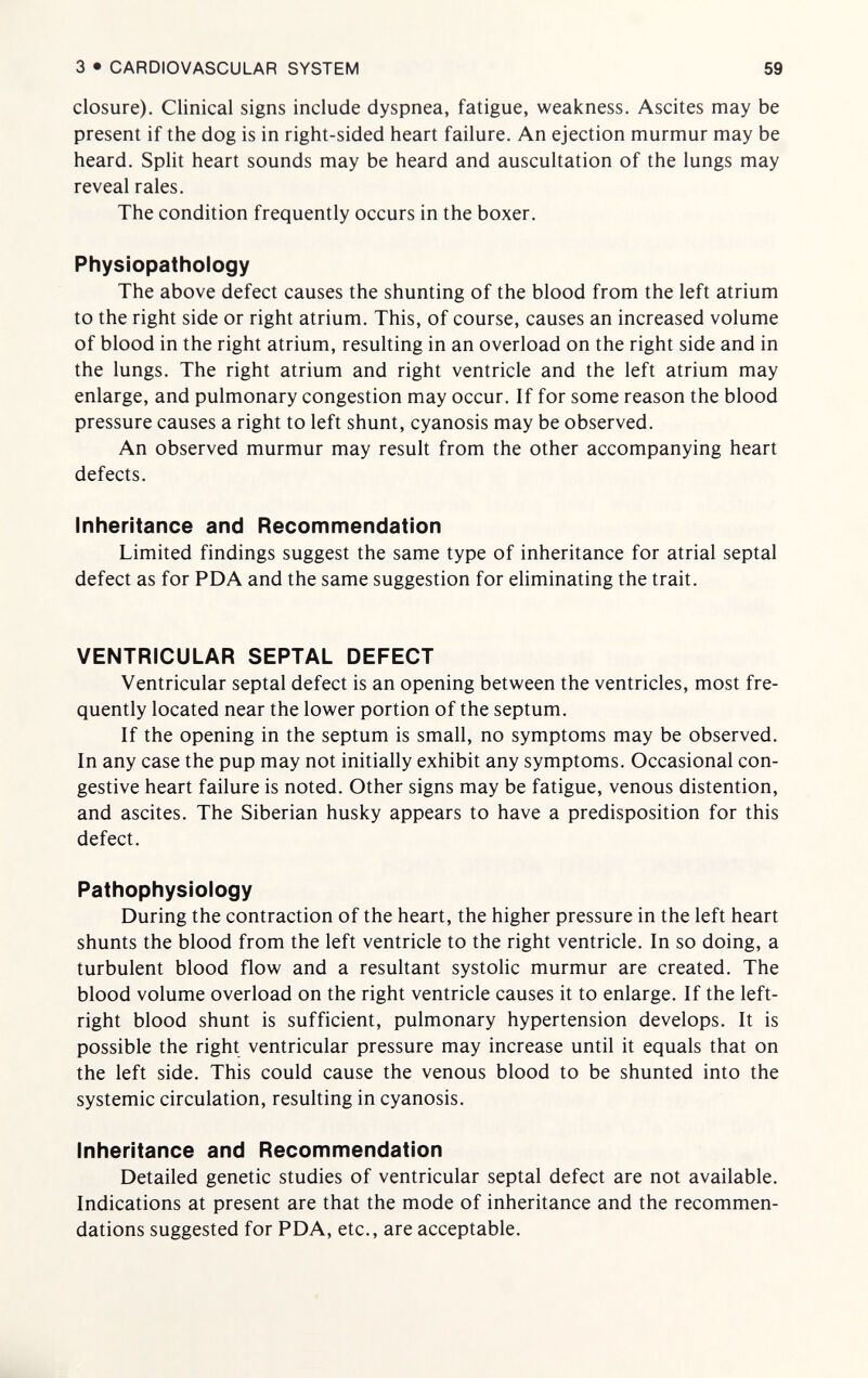 3 • CARDIOVASCULAR SYSTEM 59 closure). Clinical signs include dyspnea, fatigue, weakness. Ascites may be present if the dog is in right-sided heart failure. An ejection murmur may be heard. Split heart sounds may be heard and auscultation of the lungs may reveal rales. The condition frequently occurs in the boxer. Physiopathology The above defect causes the shunting of the blood from the left atrium to the right side or right atrium. This, of course, causes an increased volume of blood in the right atrium, resulting in an overload on the right side and in the lungs. The right atrium and right ventricle and the left atrium may enlarge, and pulmonary congestion may occur. If for some reason the blood pressure causes a right to left shunt, cyanosis may be observed. An observed murmur may result from the other accompanying heart defects. Inheritance and Recommendation Limited findings suggest the same type of inheritance for atrial septal defect as for PDA and the same suggestion for eliminating the trait. VENTRICULAR SEPTAL DEFECT Ventricular septal defect is an opening between the ventricles, most fre¬ quently located near the lower portion of the septum. If the opening in the septum is small, no symptoms may be observed. In any case the pup may not initially exhibit any symptoms. Occasional con¬ gestive heart failure is noted. Other signs may be fatigue, venous distention, and ascites. The Siberian husky appears to have a predisposition for this defect. Pathophysiology During the contraction of the heart, the higher pressure in the left heart shunts the blood from the left ventricle to the right ventricle. In so doing, a turbulent blood flow and a resultant systolic murmur are created. The blood volume overload on the right ventricle causes it to enlarge. If the left- right blood shunt is sufficient, pulmonary hypertension develops. It is possible the right ventricular pressure may increase until it equals that on the left side. This could cause the venous blood to be shunted into the systemic circulation, resulting in cyanosis. Inheritance and Recommendation Detailed genetic studies of ventricular septal defect are not available. Indications at present are that the mode of inheritance and the recommen¬ dations suggested for PDA, etc., are acceptable.