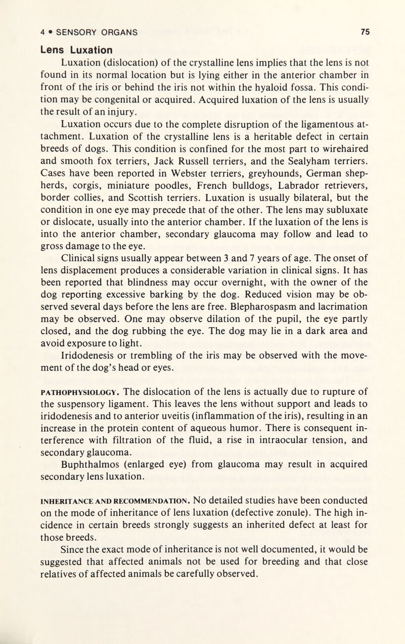 4•SENSORY ORGANS 75 Lens Luxation Luxation (dislocation) of the crystalline lens implies that the lens is not found in its normal location but is lying either in the anterior chamber in front of the iris or behind the iris not within the hyaloid fossa. This condi¬ tion may be congenital or acquired. Acquired luxation of the lens is usually the result of an injury. Luxation occurs due to the complete disruption of the ligamentous at¬ tachment. Luxation of the crystalline lens is a heritable defect in certain breeds of dogs. This condition is confined for the most part to wirehaired and smooth fox terriers, Jack Russell terriers, and the Sealyham terriers. Cases have been reported in Webster terriers, greyhounds, German shep¬ herds, corgis, miniature poodles, French bulldogs, Labrador retrievers, border collies, and Scottish terriers. Luxation is usually bilateral, but the condition in one eye may precede that of the other. The lens may subluxate or dislocate, usually into the anterior chamber. If the luxation of the lens is into the anterior chamber, secondary glaucoma may follow and lead to gross damage to the eye. Clinical signs usually appear between 3 and 7 years of age. The onset of lens displacement produces a considerable variation in clinical signs. It has been reported that blindness may occur overnight, with the owner of the dog reporting excessive barking by the dog. Reduced vision may be ob¬ served several days before the lens are free. Blepharospasm and lacrimation may be observed. One may observe dilation of the pupil, the eye partly closed, and the dog rubbing the eye. The dog may lie in a dark area and avoid exposure to light. Iridodenesis or trembling of the iris may be observed with the move¬ ment of the dog's head or eyes. PATHOPHYSIOLOGY. The dislocation of the lens is actually due to rupture of the suspensory ligament. This leaves the lens without support and leads to iridodenesis and to anterior uveitis (inflammation of the iris), resulting in an increase in the protein content of aqueous humor. There is consequent in¬ terference with filtration of the fluid, a rise in intraocular tension, and secondary glaucoma. Buphthalmos (enlarged eye) from glaucoma may result in acquired secondary lens luxation. INHERITANCE AND RECOMMENDATION. No detailed studies have been conducted on the mode of inheritance of lens luxation (defective zonule). The high in¬ cidence in certain breeds strongly suggests an inherited defect at least for those breeds. Since the exact mode of inheritance is not well documented, it would be suggested that affected animals not be used for breeding and that close relatives of affected animals be carefully observed.