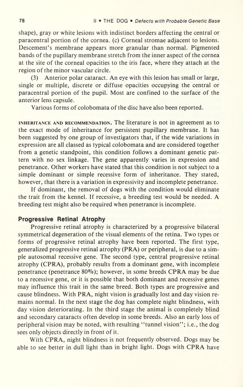 78 II • THE DOG • Defects with Probable Genetic Base shape), gray or white lesions with indistinct borders affecting the central or paracentral portion of the cornea, (c) Corneal stromae adjacent to lesions. Descement's membrane appears more granular than normal. Pigmented bands of the pupillary membrane stretch from the inner aspect of the cornea at the site of the corneal opacities to the iris face, where they attach at the region of the minor vascular circle. (3) Anterior polar cataract. An eye with this lesion has small or large, single or multiple, discrete or diffuse opacities occupying the central or paracentral portion of the pupil. Most are confined to the surface of the anterior lens capsule. Various forms of colobomata of the disc have also been reported. INHERITANCE AND RECOMMENDATION. The literature is not in agreement as to the exact mode of inheritance for persistent pupillary membrane. It has been suggested by one group of investigators that, if the wide variations in expression are all classed as typical colobomata and are considered together from a genetic standpoint, this condition follows a dominant genetic pat¬ tern with no sex linkage. The gene apparently varies in expression and penetrance. Other workers have stated that this condition is not subject to a simple dominant or simple recessive form of inheritance. They stated, however, that there is a variation in expressivity and incomplete penetrance. If dominant, the removal of dogs with the condition would eliminate the trait from the kennel. If recessive, a breeding test would be needed. A breeding test might also be required when penetrance is incomplete. Progressive Retinal Atrophy Progressive retinal atrophy is characterized by a progressive bilateral symmetrical degeneration of the visual elements of the retina. Two types or forms of progressive retinal atrophy have been reported. The first type, generalized progressive retinal atrophy (PRA) or peripheral, is due to a sim¬ ple autosomal recessive gene. The second type, central progressive retinal atrophy (CPRA), probably results from a dominant gene, with incomplete penetrance (penetrance 80%); however, in some breeds CPRA may be due to a recessive gene, or it is possible that both dominant and recessive genes may influence this trait in the same breed. Both types are progressive and cause bUndness. With PRA, night vision is gradually lost and day vision re¬ mains normal. In the next stage the dog has complete night blindness, with day vision deteriorating. In the third stage the animal is completely blind and secondary cataracts often develop in some breeds. Also an early loss of peripheral vision may be noted, with resulting tunnel vision; i.e., the dog sees only objects directly in front of it. With CPRA, night bhndness is not frequently observed. Dogs may be able to see better in dull light than in bright light. Dogs with CPRA have