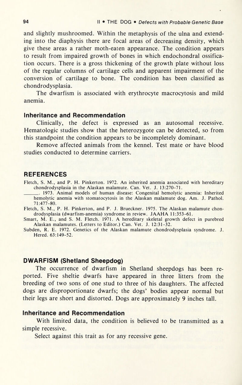 94 II • THE DOG • Defects with Probable Genetic Base and slightly mushroomed. Within the metaphysis of the ulna and extend¬ ing into the diaphysis there are focal areas of decreasing density, which give these areas a rather moth-eaten appearance. The condition appears to result from impaired growth of bones in which endochondral ossifica¬ tion occurs. There is a gross thickening of the growth plate without loss of the regular columns of cartilage cells and apparent impairment of the conversion of cartilage to bone. The condition has been classified as chondrodysplasia. The dwarfism is associated with erythrocyte macrocytosis and mild anemia. Inheritance and Recommendation Clinically, the defect is expressed as an autosomal recessive. Hematologic studies show that the heterozygote can be detected, so from this standpoint the condition appears to be incompletely dominant. Remove affected animals from the kennel. Test mate or have blood studies conducted to determine carriers. REFERENCES Fletch, S. M., and P. H. Pinkerton. 1972. An inherited anemia associated with hereditary chondrodysplasia in the Alaskan malamute. Can. Vet. J. 13:270-71.  1973. Animal models of human disease: Congenital hemolytic anemia: Inherited hemolytic anemia with stomatocytosis in the Alaskan malamute dog. Am. J. Pathol. 71:477-80. Fletch, S. M., P. H. Pinkerton, and P. J. Brueckner. 1975. The Alaskan malamute chon¬ drodysplasia (dwarfism-anemia) syndrome in review. JAAHA 11:353-61. Smart, M. E., and S. M. Fletch. 1971. A hereditary skeletal growth defect in purebred Alaskan malamutes. (Letters to Editor.) Can. Vet. J. 12:31-32. Subden, R. E. 1972. Genetics of the Alaskan malamute chondrodysplasia syndrome. J. Hered. 63:149-52. DWARFISM (Shetland Sheepdog) The occurrence of dwarfism in Shetland sheepdogs has been re¬ ported. Five sheltie dwarfs have appeared in three litters from the breeding of two sons of one stud to three of his daughters. The affected dogs are disproportionate dwarfs; the dogs' bodies appear normal but their legs are short and distorted. Dogs are approximately 9 inches tall. Inheritance and Recommendation With limited data, the condition is believed to be transmitted as a simple recessive. Select against this trait as for any recessive gene.