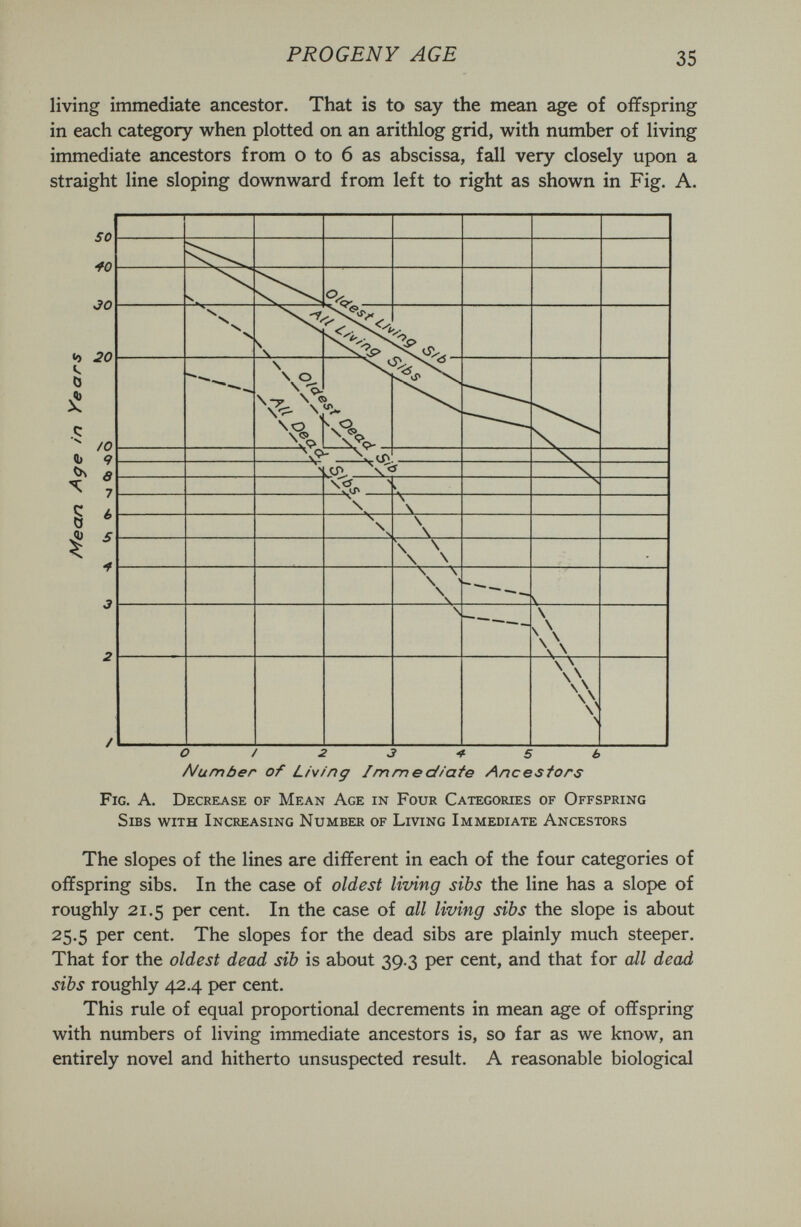 PROGENY AGE 35 living immediate ancestor. That is to say the mean age of offspring in each category when plotted on an arithlog grid, with number of living immediate ancestors from о to б as abscissa, fall very closely upon a straight line sloping downward from left to right as shown in Fig. A. Fig. a. Decrease of Mean Age in Four Categories of Offspring SiBS with Increasing Number of Living Immediate Ancestors The slopes of the lines are different in each of the four categories of offspring sibs. In the case of oldest living sibs the line has a slope of roughly 21.5 per cent. In the case of all living sibs the slope is about 25.5 per cent. The slopes for the dead sibs are plainly much steeper. That for the oldest dead sib is about 39.3 per cent, and that for all dead sibs roughly 42.4 per cent. This rule of equal proportional decrements in mean age of offspring with numbers of living immediate ancestors is, so far as we know, an entirely novel and hitherto unsuspected result. A reasonable biological