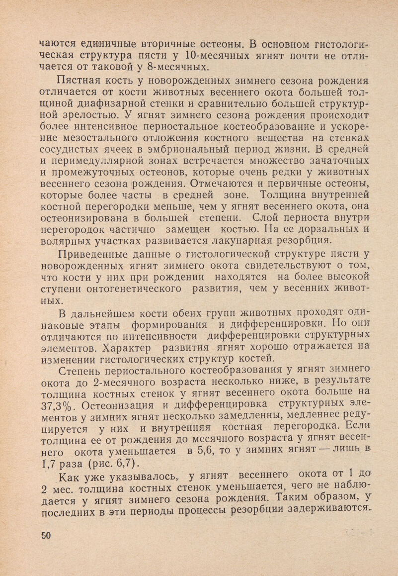 чаются единичные вторичные остеоны. В основном гистологи¬ ческая структура пясти у 10-месячных ягнят почти не отли¬ чается от таковой у 8-месячных. Пястная кость у новорожденных зимнего сезона рождения отличается от кости животных весеннего окота большей тол¬ щиной диафизарной стенки и сравнительно большей структур¬ ной зрелостью. У ягнят зимнего сезона рождения происходит более интенсивное периостальное костеобразование и ускоре¬ ние мезостального отложения костного вещества на стенках сосудистых ячеек в эмбриональный период жизни. В средней и перимедуллярной зонах встречается множество зачаточных и промежуточных остеонов, которые очень редки у животных весеннего сезона ¡рождения. Отмечаются и первичные остеоны, которые более часты в средней зоне. Толщина внутренней костной перегородки меньше, чем у ягнят весеннего окота, она остеонизирована в большей степени. Слой периоста внутри перегородок частично замещен костью. На ее дорзальных и волярных участках развивается лакунарная резорбция. Приведенные данные о гистологической структуре пясти у новорожденных ягнят зимнего окота свидетельствуют о том, что кости у них при рождении находятся на более высокой ступени онтогенетического развития, чем у весенних живот¬ ных. В дальнейшем кости обеих групп животных проходят оди¬ наковые этапы формирования и дифференцировки. Но они отличаются по интенсивности дифференцировки ст1руктурных элементов. Характер развития ягнят хорошо отражается на изменении гистологических структур костей. Степень периостального костеобразования у ягнят зимнего окота до 2-месячного возраста несколько ниже, в результате толщина костных стенок у ягнят весеннего окота больше на 37,3%. Остеонизация и дифференцировка структурных эле¬ ментов у зимних ягнят несколько замедленны, медленнее реду¬ цируется у них и внутренняя костная перегородка. Если толщина ее от рождения до месячного возраста у ягнят весен¬ него окота уменьшается в 5,6, то у зимних ягнят — лишь в 1,7 раза (рис. 6,7). Как уже указывалось, у ягнят весеннего окота от 1 до 2 мес. толщина костных стенок уменьшается, чего не наблю¬ дается у ягнят зимнего сезона рождения. Таким образом, у последних в эти периоды процессы резорбции задерживаются« 50