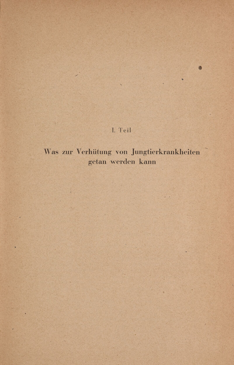 T. Teil W as zur Veriliitimg von Jiiiigiierkraiiklieilen getan werden kann