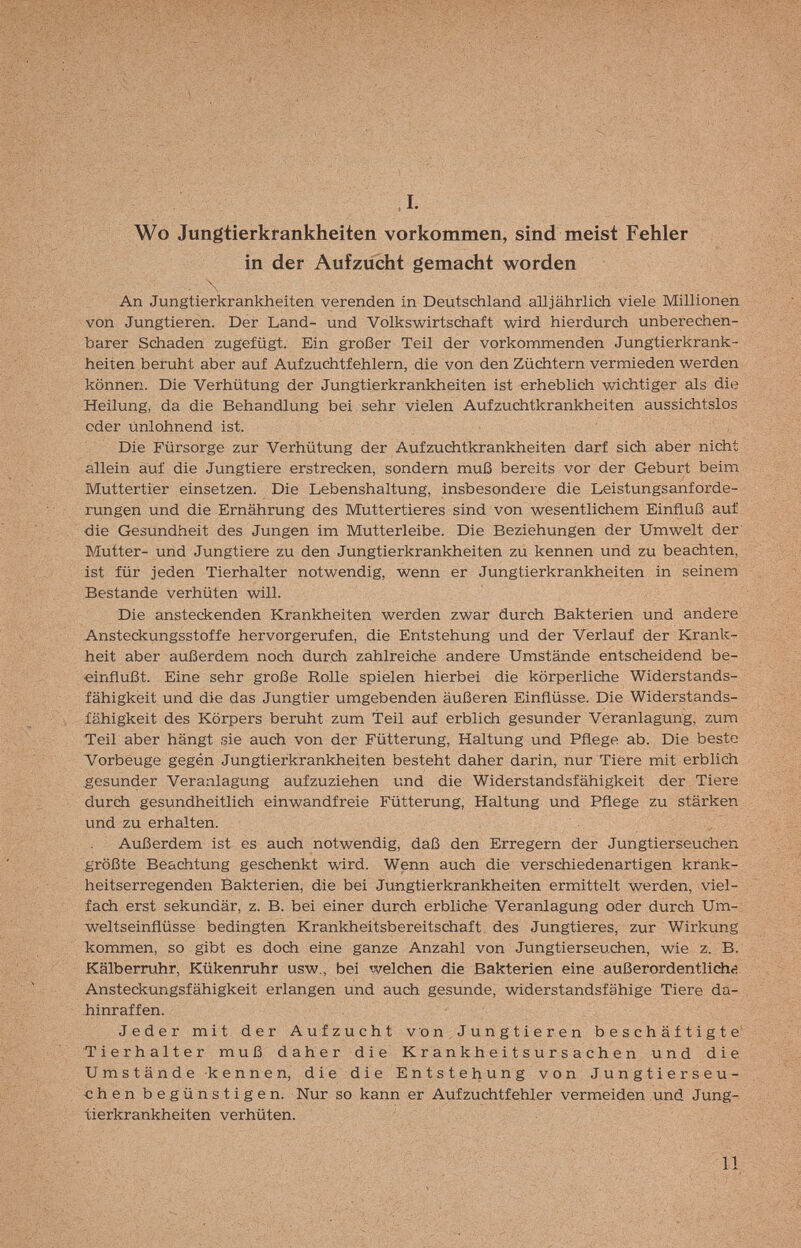 Wo Jungtierkrankheiten vorkommen, sind meist Fehler in der Aufzucht gemacht worden . \ An Jungtierkrankheiten verenden in Deutschland alljährlich viele Millionen von Jungtieren. Der Land- und Volkswirtschaft wird hierdurch unberechen¬ barer Schaden zugefügt. Ein großer Teil der vorkommenden Jungtierkrank¬ heiten beruht aber auf Aufzuchtfehlern, die von den Züchtern vermieden werden können. Die Verhütung der Jungtierkrankheiten ist erheblich wichtiger als die Heilung, da die Behandlung bei sehr vielen Aufzuchtkrankheiten aussichtslos oder Unlohnend ist. Die Fürsorge zur Verhütung der Aufzuchtkrankheiten darf sich aber nicht allein auf die Jungtiere erstrecken, sondern muß bereits vor der Geburt beim Muttertier einsetzen. Die Lebenshaltung, insbesondere die Leistungsanforde¬ rungen und die Ernährung des Muttertieres sind von wesentlichem Einfluß auf die Gesundheit des Jungen im Mutterleibe. Die Beziehungen der Umwelt der Mutter- und Jungtiere zu den Jungtierkrankheiten zu kennen und zu beachten, ist für jeden Tierhalter notwendig, wenn er Jungtierkrankheiten in seinem Bestände verhüten will. Die ansteckenden Krankheiten werden zwar durch Bakterien und andere Ansteckungsstoffe hervorgerufen, die Entstehung und der Verlauf der Krank¬ heit aber außerdem noch durch zahlreiche andere Umstände entscheidend be¬ einflußt. Eine sehr große Rolle spielen hierbei die körperliche Widerstands¬ fähigkeit und die das Jungtier umgebenden äußeren Einflüsse. Die Widerstands¬ fähigkeit des Körpers beruht zum Teil auf erblich gesunder Veranlagung, zum Teil aber hängt sie auch von der Fütterung, Haltung und Pflege ab. Die beste Vorbeuge gegen Jungtierkrankheiten besteht daher darin, nur Tiere mit erblich gesunder Veranlagung aufzuziehen und die Widerstandsfähigkeit der Tiere durch gesundheitlich einwandfreie Fütterung, Haltung und Pflege zu stärken und zu erhalten. Außerdem ist es auch notwendig, daß den Erregern der Jungtierseuchen größte Beachtung geschenkt -wird. Wenn auch die verschiedenartigen krank¬ heitserregenden Bakterien, die bei Jungtierkrankheiten ermittelt werden, viel¬ fach erst sekundär, z. B. bei einer durch erbliche Veranlagung oder durch Um¬ weltseinflüsse bedingten Krankheitsbereitschaft, des Jungtieres, zur Wirkung Icommen, so gibt es doch eine ganze Anzahl von Jungtierseuchen, wie z. B. Kälberruhr, Kükenruhr usw., bei «reichen die Bakterien eine außerordentlich«; Ansteckungsfähigkeit erlangen und auch gesunde, widerstandsfähige Tiere da¬ hinraffen. Jeder mit der Aufzucht vonJungtieren beschäftigte Tierhalter muß daher die Krankheitsursachen und die Umstände kennen, die die Entstehungvon Ju n g tierseu- chen begünstigen. Nur so kann er Aufzuchtfehler vermeiden und Jung- tierkrankheiten verhüten.