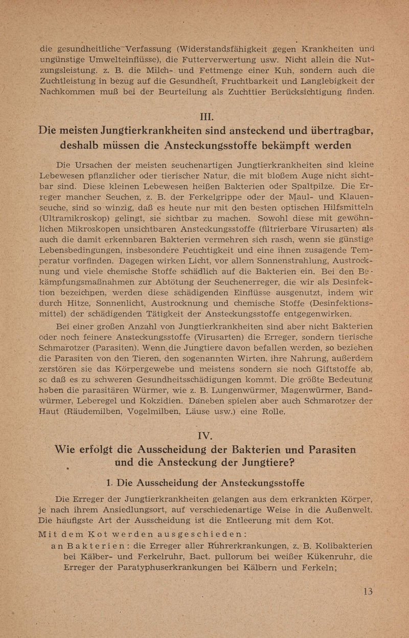 die gesundheitliche Verfassung (Widerstandsfähigkeit gegen Krankheiten und ungünstige Umwelteinflüsse), die Futterverwertung usw. Nicht allein die Nut¬ zungsleistung, z. B. die Milch-, und Fettmenge einer Kuh, sondern auch die Zuchtleistung in bezug auf die Gesundheit, Fruchtbarkeit und Langlebigkeit der Nachkommen muß bei der Beurteilung als Zuchttier Berücksichtigung finden. III. Die meisten Jungtierkrankheiten sind ansteckend und übertragbar, deshalb müssen die Ansteckungsstoffe bekämpft werden Die Ursachen der meisten seuchenartigen Jungtierkrankheiten sind kleine Lebewesen pflanzlicher oder tierischer Natur, die mit bloßem Auge nicht sicht¬ bar sind. Diese kleinen Lebewesen heißen Bakterien oder Spaltpilze. Die Er¬ reger mancher Seuchen, z. B. der Ferkelgrippe oder der Maul- und Klauen¬ seuche, sind so winzig, daß es heute nur mit (Jen besten optischen Hilfsmitteln (Ultramikroskop) gelingt, sie sichtbar zu machen. Sowohl diese mit gewöhn¬ lichen Mikroskopen unsichtbaren Ansteckungsstoffe (filtrierbare Virusarten) als auch die damit erkennbaren Bakterien vermehren sich rasch, wenn sie günstige Lebensbedingungen, insbesondere Feüchtigkeit und eine ihnen zusagende Tem¬ peratur vorfinden. Dagegen wirken Licht, vor allem Sonnenstrahlung, Austrock¬ nung und viele cheinische Stoffe schädlich auf die Bakterien ein. Bei den Be • kämpfungsmaßnahmen zur Abtötung der Seuchenerreger, die wir als Desinfek¬ tion bezeichnen, werden diese schädigenden Einfiüsse ausgenutzt, indem wir durch Hitze, Sonnenlicht, Austrocknung und chemische Stoffe (Desinfektions¬ mittel) der schädigenden Tätigkeit der Ansteckungsstoffe entgegenwirken. . Bei einer großen Anzahl von Jungtierkrankheiten sind aber nicht Bakterien oder noch feinere Ansteckungsstoffe (Virusarten) die Erreger, sondern tierische Schmarotzer (Parasiten). Wenn^die Jungtiere davon befallen werden, so beziehen die Parasiten von den Tieren, den sogenannten Wirten, ihre Nahrung, außerdem zerstören sie das Körpergewebe und meistens sondern sie noch Giftstoffe ab, sc daß es zu schweren Gesundheitsschädigungen kommt. Die größte Bedeutung haben die parasitären Würmer, wie z. B. Lungenwürmer, Magenwürmer, Band- ■wôirmer, Leberegel und Kokzidien. Däneben spielen aber auch Schmarotzer der Haut (Räudemilben, Vogelmilben, Läuse usw.) eine Rolle. IV. , Wie erfolgt die Ausscheidung der Bakterien und Parasiten und die Ansteckung der Jungtiere? 1. Die Ausscheidung der Ansteckungsstoffe Die Erreger der Jungtierkrankheiten gelangen aus dem erkrankten Körper, je nach ihrem Ansiedlungsort, auf verschiedenartige Weise in die Außenwelt. Die häufigste Art der Ausscheidung ist die Entleerung mit dem Kot. MitdemKotwerdenausgeschieden: an Bakterien: die Erreger aller R'ührerkrankungen, z. B. Kolibakterien bei Kälber- und Ferkelruhr, Bact. puUorum bei weißer Kükenruhr,, die Erreger der Paratyphuserkrankungen bei Kälbern und Ferkeln; 13