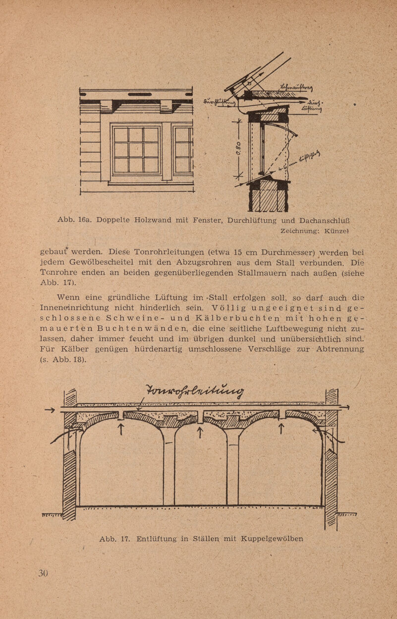 rf/' ' ¿л ] ^ ;r . V f ч.'З^ \i. ^v. ,., : ,: :,o: ¿^ í Ч V ' I ■ Abb. 16a. Doppelte Holzwand mit Fenster, Durchlüftung und Dachanschluß Zeichnung: Künzel gebaut* werden. Diese Tonrohrleitungen (etwa 15 cm Durchmesser) werden bei jedem Gewölbescheitel mit den Abzugsrohren aus dem Stall verbunden. Die Tonrohre enden an beiden gegenüberliegenden Stallmauern nach außen (siehe Abb. 1.7). Wenn eine griindliche Lüftung im -Stall erfolgen soll, so darf auch die Inneneinrichtung nicht hinderlich sein. Völlig ungeeignet sind ge¬ schlossene Schweine- und Kälbertauchten mit hohen ge-; mauerten Buchtenwänden, die eine seitliche Luftbewegung nicht zu¬ lassen, daher immer feucht und im übrigen dunkel imd unübersichtlich sind. Für Kälber genügen hürdenartig umschlossene Verschlage zur Abtrennung (s. Abb. 18). . - / Abb. 17. Entlüftifng in 81ё11ед mit ICuppelgewölben ■ ■■■ 30 Í e. f ?• ^ Ч