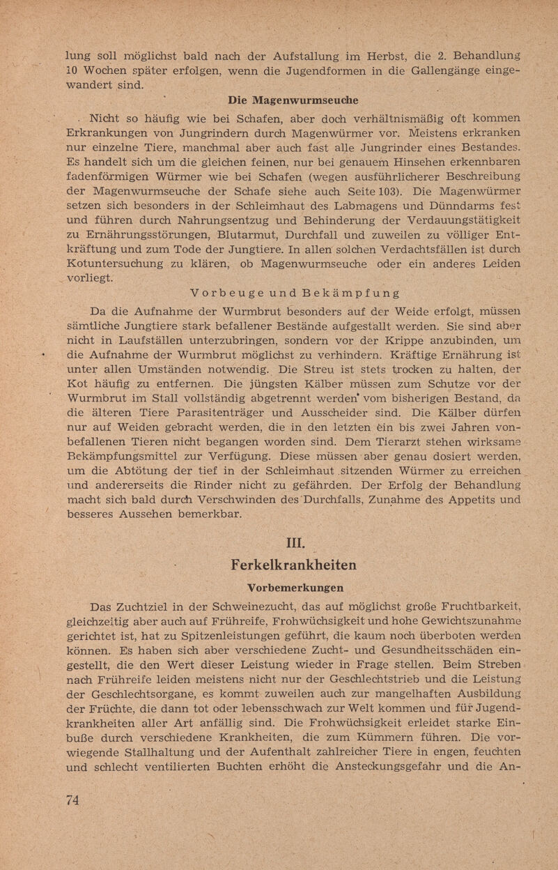 9Ш lung soll möglichst bald nach der Aufstellung im Herbst, die 2. Behandlung 10 Wociien später erfolgen, wenn die Jugendformen in die Gallengänge einge¬ wandert sind. Die Magenwurmseuche . Nicht so häufig wie bei Schafen, aber doch verhältnismäßig oft kommen Erkrankungen von Jungrindern durch Magenwürmer vor. Meistens erkranken nur einzelne Tiere, manchmal aber auch fast aUe Jungrinder eines Bestandes. Es handelt sich um die gleichen feinen, nur bei genauem Hinsehen erkennbaren fadenförmigen Würmer wie bei Schafen (wegen ausführlicherer Beschreibung der Magenwurmseuche der Schafe siehe auch Seite 103). Die Magenvioirmer setzen sich besonders in der Schleimhaut des Labmagens und Dünndarms fest und führen durch Nahrungsentzug und Behinderung der Verdauungstätigkeit zu Ernährungsstörungen, Blutarmut, Durchfall und zuweilen zu völliger Ent¬ kräftung und zum Tode der Jungtiere. In allen solchen Verdachtsfällen ist durch Kotuntersuchung zu klären, ob Magenwurmseuche oder ein anderes Leiden vorliegt. VorbeugeundBekämpfung Da die Aufnahme der Wurmbrut besonders auf der Weide erfolgt, müssen sämtliche Jungtiere stark befallener Bestände aufgestallt werden. Sie sind aber nidit in Laufställen unterzubringen, sondern vor der Krippe anzubinden, um die Aufnahme der Wurmbrut möglichst zu verhindern. Kräftige Ernährung ist unter allen Umständen notwendig. Die Streu ist stets trocken zu halten, der Kot häufig zu entfernen. Die jüngsten Kälber müssen zum Schutze vor der Wurmbrut im Stall vollständig abgetrennt werden vom bisherigen Bestand, da die älteren Tiere Parasitenträger und Ausscheider sind. Die Kälber dürfen nur auf Weiden gebracht werden, die in den letzten èin bis zwei Jahren von¬ befallenen Tieren nicht begangen worden sind. Dem Tierarzt stehen wirksame Bekämpfungsmittel zur Verfügung. Diese müssen aber genau dosiert werden, um die Abtötung der tief in der Schleimhaut sitzenden Würmer zu erreichen und andererseits die Rinder nicht zu gefährden. Der Erfolg der Behandlung macht sich bald durch Verschwinden des Durchfalls, Zunahme des Appetits und besseres Aussehen bemerkbar. III. Ferkelkrankheiten Vorbemerkungen Das Zuchtziel in der Schweinezucht, das auf möglichst große Fruchtbarkeit, gleichzeitig aber auch auf Frühreife, Frohwüchsigkeit und hohe Gewichtszunahme gerichtet ist, hat zu Spitzenleistungen geführt, die kaum noch überboten werden können. Es haben sich aber verschiedene Zucht- und Gesundheitsschäden ein¬ gestellt, die den Wert dieser Leistung wieder in Frage .stellen. Beim Streben ^ nach Frühreife leiden meistens nicht nur der Geschlechtstrieb und die Leistung der Geschlechtsorgane, es kommt zuweilen auch zur mangelhaften Ausbildung der Früchte, die dann tot oder lebensschwach zur Welt kommen und für Jugend¬ krankheiten aller Art anfällig sind. Die Frohwüchsigkeit erleidet starke Ein¬ buße durch verschiedene Krankheiten, die zum Kümmern führen. Die vor¬ wiegende Stallhaltung und der Aufenthalt zahlreicher Tiere in engen, feuchten und schlecht ventilierten Buchten erhöht die Ansteckungsgefahr und die An- 74