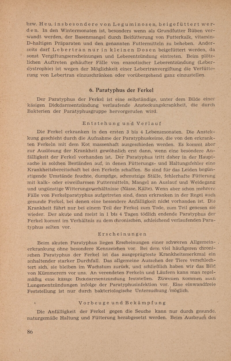 bzw. Heu, insbesondere von Leguminosen, beigefüttert wer¬ den. In den Wintermonaten ist, besonders wenn als Grundfutter Rüben ver¬ wandt werden, der Basenmangel durch Beifütterung von Futterkalk, vitamin- D-haltigen Präparaten und den genannten Futtermitteln zu beheben. Ander¬ seits darf Lebertran nur in kleinen Dosen beigefüttert werden, da sonst Vergiftungserscheinungen und Leberentzündung eintreten. Beim plötz¬ lichen Auftreten gehäufter Fälle von enzootischer Leberentzündung (Leber¬ dystrophie) ist wegen der Möglichkeit einer Lebertranvergiftung die Verfütte- rung von Lebertran einzuschränken oder vorübergehend ganz einzustellen. 6. Paratyphus der Ferkel Der Paratyphus der Ferkel ist eine selbständige, unter dem Bilde einer käsigen Dickdarmentzündung verlaufende Ansteckungskrapkheit, die durch Bakterien der Paràtyphusgruppe hervorgerufen wird. . - Entstehung und Verlauf Die Ferkel erkranken in den ersten 3 bis 4 Lebensmonaten. Die Anstek- kung geschieht durch die Aufnahme der Paratyphuskeime, die von den erkrank¬ ten Ferkeln mit dem Kot massenhaft ausgeschieden werden. Es kommt aber zur Auslösung der .Krankheit gewöhnlich erst dann, wenn eine besondere An¬ fälligkeit der Ferkel vorhanden ist. Der Paratyphus tritt daher in der Haupt¬ sache in solchen Beständen auf, in denen Fütterungs- und Haltungsfehler eine Krankheitsbereitschaft bei den Ferkeln schaffen. So sind für das Leiden begün¬ stigende Umstände feuchte, dumpfige, schmutzige Ställe, fehlerhafte Fütterung mit kalk- oder eiweißarmen Futtermitteln, Mangel an Auslauf und Weide gang und ungünstige Witterungsverhältnisse (Nässe, Kälte). Wenn aber schon mehrere Fälle von Ferkelparatyphus aufgetreten sind, dann erkranken in der Regel auch gesunde Ferkel, bei denen eine besondere Anfälligkeit nicht vorhanden ist. Die Krankheit führt nur bei einerh Teil der Ferkel zum Tode, zum Teil genesen sie wieder. Der akute und meist in 1 bis 4 Tagen tödlich endende Paratyphus der Ferkel kommt im Verhältnis zu dem chronischen, schleichend verlaufenden Para¬ typhus selten vor. Erscheinungen Beim akuten Paratyphus liegen Erscheinungen einer schw'eren Allgemein¬ erkrankung ohne besondere Kennzeichen vor. Bei dem viel häufigeren chroni¬ schen Paratyphus der Ferkel ist das ausgeprägteste Krankheitsmerkmal ein anhaltender starker Durchfall. Das allgemeine Aussehen der Tiere verschlech¬ tert sich, sie bleiben im Wachstum zurück, und'schließlich haben wir das Bild von Kümmerern Vor uns. An verendeten Ferkeln und Läufern kann man regel¬ mäßig eine käsige Dickdarmentzundung feststellen. Züweiien kommen aucn Lungenentzündungen infolge der Paratyphusinfektion vor. ^ Eine einwandfreie Feststellung ist nur durch bakteriologische Untersuchung möglich. ♦, V о r b e u g e u n d В e к ä mp f u n g Die Anfälligkeit der Ferkel gegen die Seuche kann nur durch gesunde, naturgemäße Haltung und Fütterung herabgesetzt werden. Beim Ausbruch des' 86