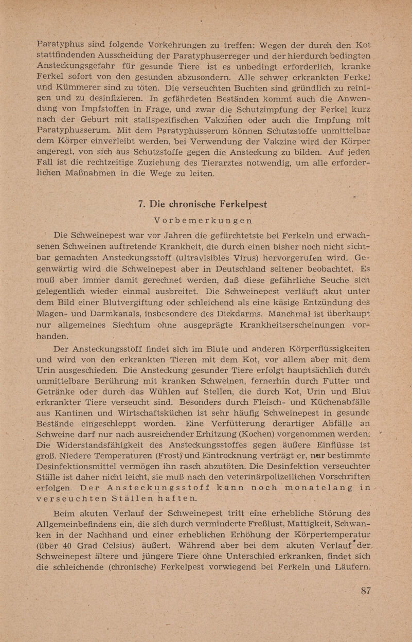 Paratyphus sind folgende Vorkehrungen zu treffen: Wegen der durch den Kot stattfindenden Ausscheidung der Paratyphuserreger und der hierdurch bedingten Ansteckungsgefahr für gesunde Tiere ist es unbedingt erforderlich, kranke Ferkel sofort von den gesunden abzusondern. Alle schwer erkrankten Ferkel und Kümmerer sind zu töten. Die verseuchten Buchten sind gründlich zu reini¬ gen und zu desinfizieren. In gefährdeten Beständen kommt auch die Anwen-. dung von Impfstoffen in Frage, und zwar die Schutzimpfung der Ferkel kurz nach der Geburt mit stallspezifischen Vakzinen oder auch die Impfung mit Paratyphusserum. Mit dem Paratyphüsserum können Schutzstoffe unmittelbar dem Körper einverleibt werden, bei Verwendung der Vakzine wird der Körper angeregt, von sich aus Schutzstoffe gegen die Ansteckung zu bilden. Auf jeden Fall ist die rechtzeitige Zuziehung des Tierarztes notwendig, um alle erforder¬ lichen Maßnahmen in die Wege zu leiten. 7. Die chronische Ferkelpest V о r b e m e r к u Ц g e n Die Schweinepest war vor Jahren die gefürchtetste bei Ferkeln und erwach¬ senen Schweinen auftretende Krankheit, die durch einen bisher noch nicht sicht¬ bar gemachten Ansteckungsstoff (ultravisibles Virus) hervorgerufen wird. Ge¬ genwärtig wird die Schweinepest aber in Deutschland seltener beobachtet. Es muß aber immer damit gerechnet werden, daß diese gefährliche Seuche sich gelegentlich wieder einmal ausbreitet. Die Schweinepest verläuft akut unter dem Bild einer Blutvergiftung oder schleichend als eine käsige Entzündung des Magen- und Darmkanals, insbesondere des Dickdarms. Manchmal ist überhaupt nur allgemeines Siechtum ohne ausgeprägte Krankheitserscheinungen vor¬ handen. Der Ansteckungsstoff findet sich im Blute und anderen Körperflüssigkeiten und wird von den erkrankten Tieren mit dem Kot, vor allem aber mit dem Urin ausgeschieden. Die Ansteckung gesunder Tiere erfolgt hauptsächlich durch unmittelbare Berührung mit kranken Schweinen, fernerhin durch Futter und Getränke oder durch das Wühlen auf Stellen, die durch Kot, Urin und Blut erkrankter Tiere verseucht sind. Besonders durch Fleisch- und Küchenabfälle aus Kantinen und Wirtschaftsküchen ist sehr häufig Schweinepest in gesunde Bestände eingeschleppt worden. Eine Verfütterung derartiger Abfälle an Schweine darf nur nach ausreichender Erhitzung (Kochen) vorgenommen werden; Die Widerstandsfähigkeit des Ansteckungsstoffes gegen äußere Einflüsse ist groß. Niedere Temperaturen (Frost) und Eintrocknung verträgt er, n«r bestimmte Desinfektionsmittel vermögen ihn rasch abzutöten. Die Desinfektion verseuchter Ställe ist daher nicht leicht, sie muß nach den veterinärpolizeilichen Vorschriften erfolgen. Der Ansteckungsstoff känn noch monatelang in verseuchten Ställen haften. Beim akuten Verlauf der Schweinepest tritt eine erhebliche Störung des Allgemeinbefindens ein, die sich durch verminderte Freßlust, Mattigkeit, Schwan¬ ken in der Nachhand und einer erheblichen Erhöhung der Körpertemperatur (über 40 Grad Celsius) äußert. Während aber bei dem akuten Verlauf der, Schweinepest ältere und jüngere Tiere ohne Unterschied erkranken, findet sich die schleichende (chronische) Ferkelpest vorwiegend bei Ferkeln und Läufern. 87
