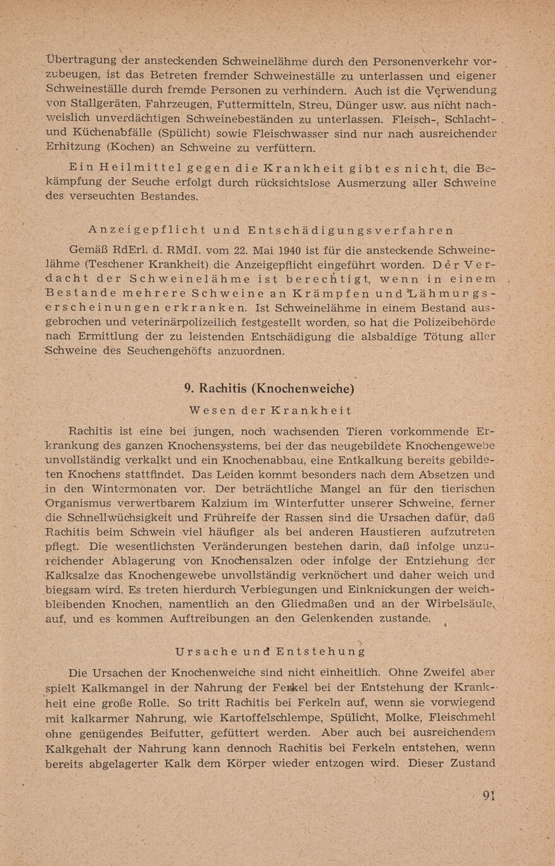 Übertragung der ansteckenden Sdiweinelähme dürch den Personenverkehr vor¬ zubeugen, ist das Betreten fremder Schweineställe zu unterlassen und eigener Schweineställe durch fremde Personen zu verhindern. Auch ist die Verwendung von Stallgeräten, Fahrzeugen, Futtermitteln, Streu, Dünger usw. aus nicht nach¬ weislich unverdächtigen Schweinebeständen zu unterlassen. Fleisch-, Schlacht- und Küchenabfälle (Spülicht) sowie Fleischwasser sind nur nach ausreichender Erhitzung (Kochen) an Schweine zu verfüttern. Ein Hei Im ittel gegen die Krankheit gibt es nicht, die Be¬ kämpfung der Seuche erfolgt durch rücksichtslose Ausmerzung aller Schweine des verseuchten Bestandes. Anzeigepflicht und Entschädigungsverfahren Gemäß RdErl. d. RMdl. vom 22. Mai 1940 ist für die ansteckende Schweine- lähme <Teschener Krankheit) die Anzeigepflicht eingeführt worden. D è r V e r- dacht der Schweinelähme ist berechtigt, wenn in einem Bestände mehrere Schweine an Krämpfen und*Lähmurgs- erscheinungen erkranken. Ist Schweinelähme in einem Bestand aus¬ gebrochen und veterinärpolizeilich festgestellt worden, so hat die Polizeibehörde nach Ermittlung der zu leistenden Entschädigung die alsbaldige Tötung aller Schweine des Seuchengehöfts anzuordnen. 9. Rachitis (Knochenweiche) W e s e n d e r К r a n к h e i t Rachitis ist eine bei jungen, noch wachsenden Tieren vorkommende Er- Tîrankung des ganzen Knochensystems, bei der das neugebildete Knochengewebe xinvollständig verkalkt und ein Knochenabbau, eine Entkalkung bereits gebilde¬ ten Knochens stattfindet. Das Leiden kommt besonders nach dem Absetzen und in den Wintermonaten vor. Der beträchtliche Mangel an für den tierischen Organismus verwertbarem Kalzium im Winterfutter unserer Schweine, ferner die Schnellwüchsigkeit und Frühreife der Rassen sind die Ursachen dafür, daß Rachitis beim Schwein viel häufiger als bei anderen Haustieren aufzutreten pflegt. Die wesentlichsten Veränderungen bestehen darin, daß infolge unzu¬ reichender Ablagerung von Knochensalzen oder infolge der Entziehung der Kalksalze das Knochengewebe unvollständig verknöchert und daher weich und biegsam wird. Es treten hierdurch Verbiegungen und Einknickungen der weich¬ bleibenden Knochen, namentlich an den Gliedmaßen und an der Wirbelsäule^ auf, und es kommen Auftreibungen an den Gelenkenden zustande. ^ и r s a с h e u n d E n t s t e h u n g Die Ursachen der Knochenweiche sind nicht einheitlich. Ohne Zweifel atoer spielt Kalkmangel in der Nahrung der Fer-kel bei der Entstehung der Krank¬ heit eine große Rolle. So tritt Rachitis bei Ferkeln auf, wenn sie vorw;iegend mit kalkarmer Nahrung, wie Kartoffelschlempe, Spülicht, Molke, Fleischmehl ohne genügendes Beifutter, gefüttert werden. Aber auch bei ausreichendem Kalkgehalt der Nahrung kann dennoch Rachitis bei Ferkeln entstehen, wenn bereits abgelagerter Kalk dem Körper wieder entzogen wird. Dieser Zustand 91