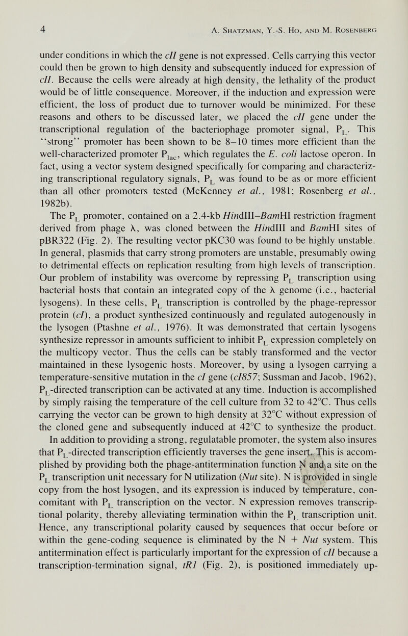 4 A. Shatzman, y.-S. Ho, and M. Rosenberg under conditions in which the cil gene is not expressed. Cells carrying this vector could then be grown to high density and subsequently induced for expression of cU. Because the cells were already at high density, the lethality of the product would be of little consequence. Moreover, if the induction and expression were efficient, the loss of product due to turnover would be minimized. For these reasons and others to be discussed later, we placed the cll gene under the transcriptional regulation of the bacteriophage promoter signal, Pl- This strong promoter has been shown to be 8-10 times more efficient than the well-characterized promoter which regulates the E. coli lactose operon. In fact, using a vector system designed specifically for comparing and characteriz¬ ing transcriptional regulatory signals, P^ was found to be as or more efficient than all other promoters tested (McKenney et al., 1981; Rosenberg et al., 1982b). The Pl promoter, contained on a 2.4-kb Hiná\\\-BamY{\ restriction fragment derived from phage X, was cloned between the HináWl and BamWl sites of pBR322 (Fig. 2). The resulting vector рКСЗО was found to be highly unstable. In general, plasmids that carry strong promoters are unstable, presumably owing to detrimental effects on replication resulting from high levels of transcription. Our problem of instability was overcome by repressing P^ transcription using bacterial hosts that contain an integrated copy of the X genome (i.e., bacterial lysogens). In these cells, P^ transcription is controlled by the phage-repressor protein (c/), a product synthesized continuously and regulated autogenously in the lysogen (Ptashne et al., 1976). It was demonstrated that certain lysogens synthesize repressor in amounts sufficient to inhibit Pl expression completely on the multicopy vector. Thus the cells can be stably transformed and the vector maintained in these lysogenic hosts. Moreover, by using a lysogen carrying a temperature-sensitive mutation in the cl gene {cI857\ Sussman and Jacob, 1962), PL-directed transcription can be activated at any time. Induction is accomplished by simply raising the temperature of the cell culture from 32 to 42°C. Thus cells carrying the vector can be grown to high density at 32°C without expression of the cloned gene and subsequently induced at 42°C to synthesize the product. In addition to providing a strong, regulatable promoter, the system also insures that PL-directed transcription efficiently traverses the gene insería- This is accom¬ plished by providing both the phage-antitermination function and^a site on the Pl transcription unit necessary for N utilization {Nut site). N is-provided in single copy from the host lysogen, and its expression is induced by temperature, con¬ comitant with Pl transcription on the vector. N expression removes transcrip¬ tional polarity, thereby alleviating termination within the Pl transcription unit. Hence, any transcriptional polarity caused by sequences that occur before or within the gene-coding sequence is eliminated by the N -I- Nut system. This antitermination effect is particularly important for the expression of cll because a transcription-termination signal, tRl (Fig. 2), is positioned immediately up-