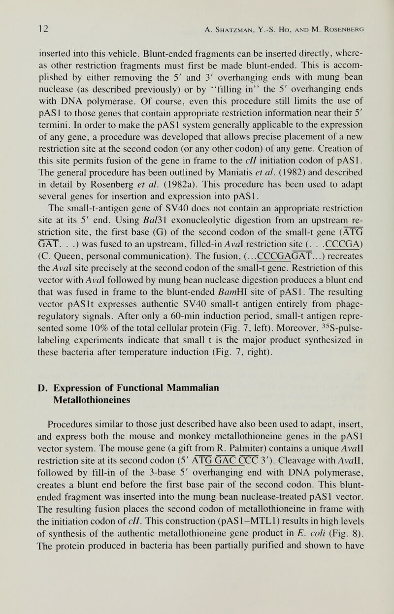 12 a. Shatzman, y.-s. Ho, and m. Rosenberg inserted into this vehicle. Blunt-ended fragments can be inserted directly, where¬ as other restriction fragments must first be made blunt-ended. This is accom¬ plished by either removing the 5' and 3' overhanging ends with mung bean nuclease (as described previously) or by filling in the 5' overhanging ends with DNA polymerase. Of course, even this procedure still limits the use of pASl to those genes that contain appropriate restriction information near their 5' termini. In order to make the pASl system generally applicable to the expression of any gene, a procedure was developed that allows precise placement of a new restriction site at the second codon (or any other codon) of any gene. Creation of this site permits fusion of the gene in frame to the cIl initiation codon of pAS 1. The general procedure has been outlined by Maniatis et al. (1982) and described in detail by Rosenberg et al. (1982a). This procedure has been used to adapt several genes for insertion and expression into pAS 1. The small-t-antigen gene of SV40 does not contain an appropriate restriction site at its 5' end. Using BaB\ exonucleolytic digestion from an upstream re¬ striction site, the first base (G) of the second codon of the small-t gene (ATG GAT. . .) was fused to an upstream, filled-in Aval restriction site (. . .CCCGA) (C. Queen, personal communication). The fusion, (...CCCGAGAT...) recreates the Aval site precisely at the second codon of the small-t gene. Restriction of this vector with Aval followed by mung bean nuclease digestion produces a blunt end that was fused in frame to the blunt-ended ВатШ site of pAS 1. The resulting vector pASlt expresses authentic SV40 small-t antigen entirely from phage- regulatory signals. After only a 60-min induction period, small-t antigen repre¬ sented some 10% of the total cellular protein (Fig. 7, left). Moreover, ^^S-pulse- labeling experiments indicate that small t is the major product synthesized in these bacteria after temperature induction (Fig. 7, right). D. Expression of Functional Mammalian Metallothioneines Procedures similar to those just described have also been used to adapt, insert, and express both the mouse and monkey metallothioneine genes in the pASl vector system. The mouse gene (a gift from R. Palmiter) contains a unique Avail restriction site at its second codon (5' ATG GAC CCC 3'). Cleavage with Avail, followed by fill-in of the 3-base 5' overhanging end with DNA polymerase, creates a blunt end before the first base pair of the second codon. This blunt- ended fragment was inserted into the mung bean nuclease-treated pAS 1 vector. The resulting fusion places the second codon of metallothioneine in frame with the initiation codon of ell. This construction (pASl-MTLl) results in high levels of synthesis of the authentic metallothioneine gene product in E. coli (Fig. 8). The protein produced in bacteria has been partially purified and shown to have