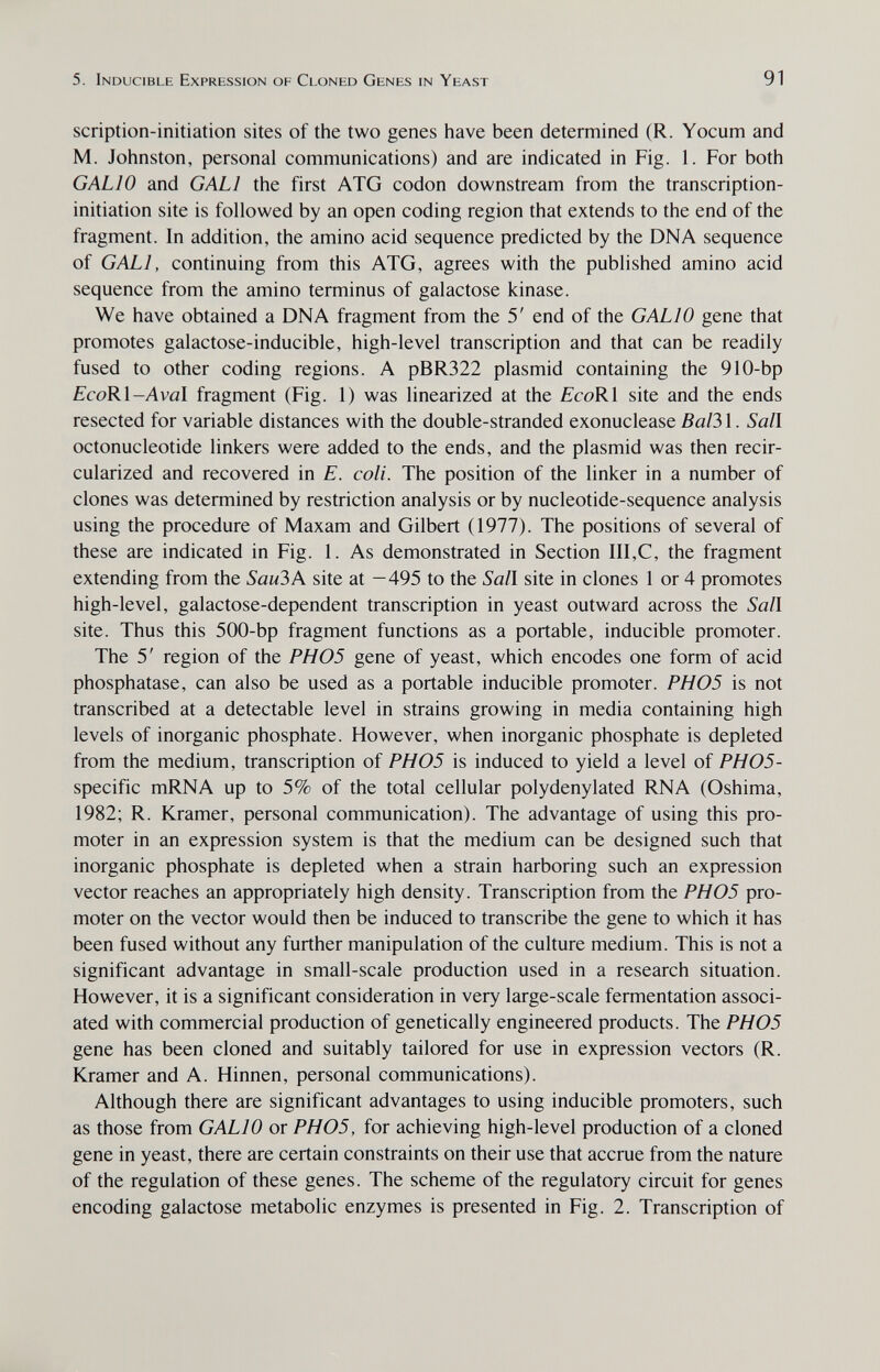 5. Inducible Expression of Cloned Genes in Yeast 91 scription-initiation sites of the two genes have been determined (R. Yocum and M. Johnston, personal communications) and are indicated in Fig. 1. For both GALIO and GALI the first ATG codon downstream from the transcription- initiation site is followed by an open coding region that extends to the end of the fragment. In addition, the amino acid sequence predicted by the DNA sequence of GALI, continuing from this ATG, agrees with the published amino acid sequence from the amino terminus of galactose kinase. We have obtained a DNA fragment from the 5' end of the GALIO gene that promotes galactose-inducible, high-level transcription and that can be readily fused to other coding regions. A pBR322 plasmid containing the 910-bp EcoK\-Aval fragment (Fig. 1) was linearized at the EcoKl site and the ends resected for variable distances with the double-stranded exonuclease Baß 1. Sail octonucleotide linkers were added to the ends, and the plasmid was then recir- cularized and recovered in E. coli. The position of the linker in a number of clones was determined by restriction analysis or by nucleotide-sequence analysis using the procedure of Maxam and Gilbert (1977). The positions of several of these are indicated in Fig. 1. As demonstrated in Section III,C, the fragment extending from the Sau3A site at —495 to the Sail site in clones 1 or 4 promotes high-level, galactose-dependent transcription in yeast outward across the Sail site. Thus this 500-bp fragment functions as a portable, inducible promoter. The 5' region of the PH05 gene of yeast, which encodes one form of acid phosphatase, can also be used as a portable inducible promoter. PH05 is not transcribed at a detectable level in strains growing in media containing high levels of inorganic phosphate. However, when inorganic phosphate is depleted from the medium, transcription of PH05 is induced to yield a level of PH05- specific mRNA up to 5% of the total cellular polydenylated RNA (Oshima, 1982; R. Kramer, personal communication). The advantage of using this pro¬ moter in an expression system is that the medium can be designed such that inorganic phosphate is depleted when a strain harboring such an expression vector reaches an appropriately high density. Transcription from the PH05 pro¬ moter on the vector would then be induced to transcribe the gene to which it has been fused without any further manipulation of the culture medium. This is not a significant advantage in small-scale production used in a research situation. However, it is a significant consideration in very large-scale fermentation associ¬ ated with commercial production of genetically engineered products. The PH05 gene has been cloned and suitably tailored for use in expression vectors (R. Kramer and A. Hinnen, personal communications). Although there are significant advantages to using inducible promoters, such as those from GALIO or PH05, for achieving high-level production of a cloned gene in yeast, there are certain constraints on their use that accrue from the nature of the regulation of these genes. The scheme of the regulatory circuit for genes encoding galactose metabolic enzymes is presented in Fig. 2. Transcription of