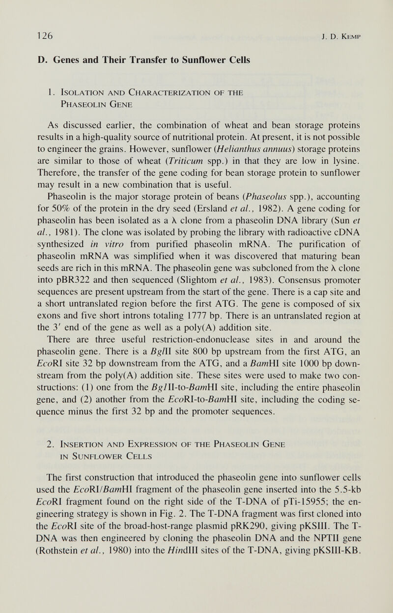 126 J. D. Kemp D. Genes and Their Transfer to Sunflower Cells 1. Isolation and Characterization of the Phaseolin Gene As discussed earlier, the combination of wheat and bean storage proteins results in a high-quality source of nutritional protein. At present, it is not possible to engineer the grains. However, sunflower {Helianthus annuus) storage proteins are similar to those of wheat {Triticum spp.) in that they are low in lysine. Therefore, the transfer of the gene coding for bean storage protein to sunflower may result in a new combination that is useful. Phaseolin is the major storage protein of beans {Phaseolus spp.), accounting for 50% of the protein in the dry seed (Ersland et al., 1982). A gene coding for phaseolin has been isolated as a X. clone from a phaseolin DNA library (Sun et al., 1981). The clone was isolated by probing the library with radioactive cDNA synthesized in vitro from purified phaseolin mRNA. The purification of phaseolin mRNA was simplified when it was discovered that maturing bean seeds are rich in this mRNA. The phaseolin gene was subcloned from the X clone into pBR322 and then sequenced (Slightom et ai, 1983). Consensus promoter sequences are present upstream from the start of the gene. There is a cap site and a short untranslated region before the first ATG. The gene is composed of six exons and five short introns totaling 1777 bp. There is an untranslated region at the 3' end of the gene as well as a poly(A) addition site. There are three useful restriction-endonuclease sites in and around the phaseolin gene. There is a В gill site 800 bp upstream from the first ATG, an EcoRI site 32 bp downstream from the ATG, and a BamHl site 1000 bp down¬ stream from the poly(A) addition site. These sites were used to make two con¬ structions: (1) one from the Bglll-to-BamVll site, including the entire phaseolin gene, and (2) another from the ЕсоК1Ло-ВатШ site, including the coding se¬ quence minus the first 32 bp and the promoter sequences. 2. Insertion and Expression of the Phaseolin Gene in Sunflower Cells The first construction that introduced the phaseolin gene into sunflower cells used the EcoRUBamUl fragment of the phaseolin gene inserted into the 5.5-kb EcoRl fragment found on the right side of the T-DNA of pTi-15955; the en¬ gineering strategy is shown in Fig. 2. The T-DNA fragment was first cloned into the ЕсоШ site of the broad-host-range plasmid pRK290, giving pKSIII. The T- DNA was then engineered by cloning the phaseolin DNA and the NPTII gene (Rothstein et al., 1980) into the Hinálll sites of the T-DNA, giving pKSIII-KB.