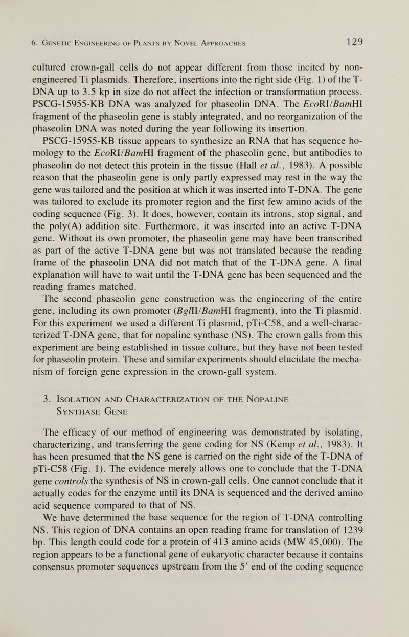 6. Genetic Engineering of Plants by Novel Approaches 129 cultured crown-gall cells do not appear different from those incited by non- engineered Ti Plasmids. Therefore, insertions into the right side (Fig. 1) of the T- DNA up to 3.5 kp in size do not affect the infection or transformation process. PSCG-15955-KB DNA was analyzed for phaseolin DNA. The EcoRHBamWl fragment of the phaseolin gene is stably integrated, and no reorganization of the phaseolin DNA was noted during the year following its insertion. PSCG-15955-KB tissue appears to synthesize an RNA that has sequence ho¬ mology to the EcoKMВатШ fragment of the phaseolin gene, but antibodies to phaseolin do not detect this protein in the tissue (Hall et al., 1983). A possible reason that the phaseolin gene is only partly expressed may rest in the way the gene was tailored and the position at which it was inserted into T-DNA. The gene was tailored to exclude its promoter region and the first few amino acids of the coding sequence (Fig. 3). It does, however, contain its introns, stop signal, and the poly (A) addition site. Furthermore, it was inserted into an active T-DNA gene. Without its own promoter, the phaseolin gene may have been transcribed as part of the active T-DNA gene but was not translated because the reading frame of the phaseolin DNA did not match that of the T-DNA gene. A final explanation will have to wait until the T-DNA gene has been sequenced and the reading frames matched. The second phaseolin gene construction was the engineering of the entire gene, including its own promoter {BglW!BamHl fragment), into the Ti plasmid. For this experiment we used a different Ti plasmid, pTi-C58, and a well-charac¬ terized T-DNA gene, that for nopaline synthase (NS). The crown galls from this experiment are being established in tissue culture, but they have not been tested for phaseolin protein. These and similar experiments should elucidate the mecha¬ nism of foreign gene expression in the crown-gall system. 3. Isolation and Characterization of the Nopaline Synthase Gene The efficacy of our method of engineering was demonstrated by isolating, characterizing, and transferring the gene coding for NS (Kemp et al., 1983). It has been presumed that the NS gene is carried on the right side of the T-DNA of pTi-C58 (Fig. 1). The evidence merely allows one to conclude that the T-DNA gene controls the synthesis of NS in crown-gall cells. One cannot conclude that it actually codes for the enzyme until its DNA is sequenced and the derived amino acid sequence compared to that of NS. We have determined the base sequence for the region of T-DNA controlling NS. This region of DNA contains an open reading frame for translation of 1239 bp. This length could code for a protein of 413 amino acids (MW 45,000). The region appears to be a functional gene of eukaryotic character because it contains consensus promoter sequences upstream from the 5' end of the coding sequence