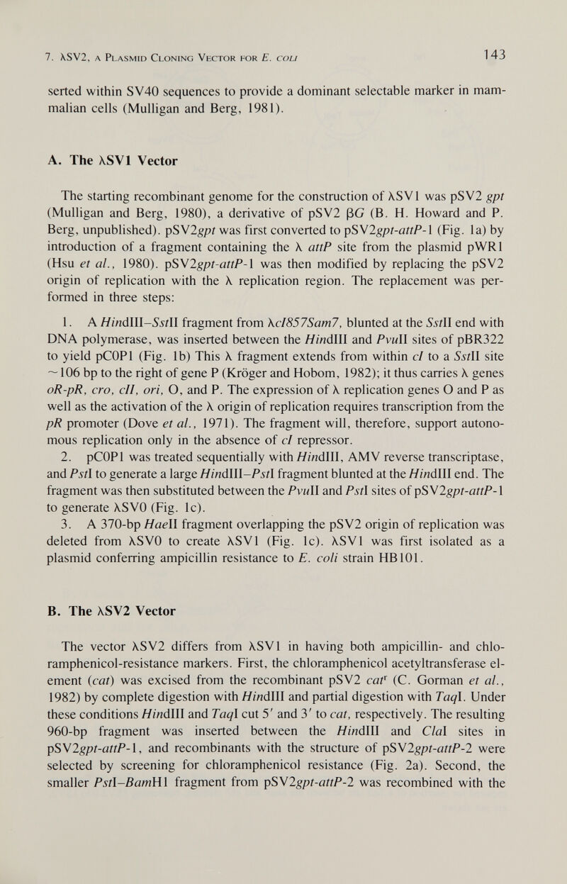 7. X.SV2, a Plasmid Cloning Vector for E. cou 143 serted within SV40 sequences to provide a dominant selectable marker in mam¬ malian cells (Mulligan and Berg, 1981). A. The XSVl Vector The starting recombinant genome for the construction of XSVl was pSV2 gpt (Mulligan and Berg, 1980), a derivative of pSV2 ßG (В. H. Howard and P. Berg, unpublished). pSV2g/7i was first converted to ^SVlgpt-attP-X (Fig. la) by introduction of a fragment containing the X attP site from the plasmid pWRl (Hsu et al., 1980). ^S>W2gpt-attP-\ was then modified by replacing the pSV2 origin of replication with the X replication region. The replacement was per¬ formed in three steps: 1. A //mdlll-^ííll fragment from kcI857Sam7, blunted at the 5'j'dl end with DNA polymerase, was inserted between the Hindlll and Pvull sites of pBR322 to yield pCOPl (Fig. lb) This \ fragment extends from within с/ to a 55/11 site — 106 bp to the right of gene P (Kroger and Hobom, 1982); it thus carries X genes oR-pR, ero, eli, ori, О, and P. The expression of X replication genes О and P as well as the activation of the X origin of replication requires transcription from the pR promoter (Dove et al., 1971). The fragment will, therefore, support autono¬ mous replication only in the absence of el repressor. 2. pCOPl was treated sequentially with ^mdlll, AMV reverse transcriptase, and Pstl to generate a large Hindlll-Pstl fragment blunted at the Я/VîdIII end. The fragment was then substituted between the Pvull and Pstl sites of pSWlgpt-attP-l to generate XSVO (Fig. Ic). 3. A 370-bp Haell fragment overlapping the pSV2 origin of replication was deleted from XSVO to create XSVl (Fig. Ic). XSVl was first isolated as a plasmid conferring ampicillin resistance to E. eoli strain HB 101. В. The XSV2 Vector The vector XSV2 differs from XSVl in having both ampicillin- and chlo- ramphenicol-resistance markers. First, the chloramphenicol acetyltransferase el¬ ement {eat) was excised from the recombinant pSV2 eaf (C. Gorman et al., 1982) by complete digestion with ЯгndIII and partial digestion with Taql. Under these conditions Hinálll and Taql cut 5' and 3' to eat, respectively. The resulting 960-bp fragment was inserted between the Hindlll and Clal sites in ^SV2gpt-attP-\, and recombinants with the structure of pSVlgpt-attP-l were selected by screening for chloramphenicol resistance (Fig. 2a). Second, the smaller Pst\-BamVl\ fragment from ^SM2gpt-attP-2 was recombined with the