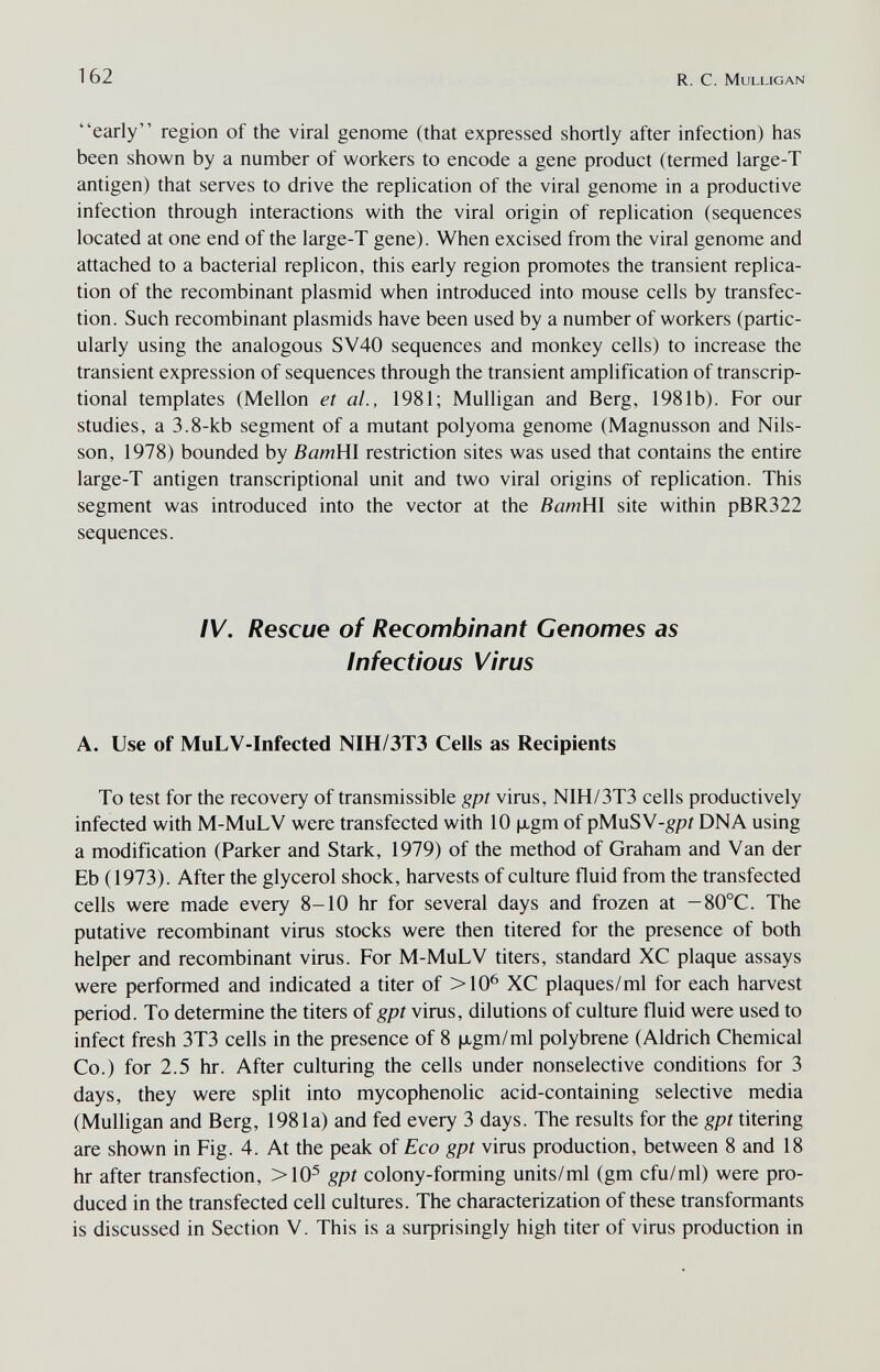 162 R. С. Mulligan early region of the viral genome (that expressed shortly after infection) has been shown by a number of workers to encode a gene product (termed large-T antigen) that serves to drive the replication of the viral genome in a productive infection through interactions with the viral origin of replication (sequences located at one end of the large-T gene). When excised from the viral genome and attached to a bacterial replicón, this early region promotes the transient replica¬ tion of the recombinant plasmid when introduced into mouse cells by transfec- tion. Such recombinant plasmids have been used by a number of workers (partic¬ ularly using the analogous SV40 sequences and monkey cells) to increase the transient expression of sequences through the transient amplification of transcrip¬ tional templates (Mellon et al., 1981; Mulligan and Berg, 1981b). For our studies, a 3.8-kb segment of a mutant polyoma genome (Magnusson and Nils- son, 1978) bounded by BamHl restriction sites was used that contains the entire large-T antigen transcriptional unit and two viral origins of replication. This segment was introduced into the vector at the ВатШ site within pBR322 sequences. ÌV. Rescue of Recombinant Genomes as Infectious Virus A. Use of MuLV-Infected NIH/3T3 Cells as Recipients To test for the recovery of transmissible gpt virus, N1H/3T3 cells productively infected with M-MuLV were transfected with 10 |xgm of pMuSW-gpt DNA using a modification (Parker and Stark, 1979) of the method of Graham and Van der Eb (1973). After the glycerol shock, harvests of culture fluid from the transfected cells were made every 8-10 hr for several days and frozen at -80°C. The putative recombinant virus stocks were then titered for the presence of both helper and recombinant virus. For M-MuLV titers, standard XC plaque assays were performed and indicated a titer of >10^ XC plaques/ml for each harvest period. To determine the titers of gpt virus, dilutions of culture fluid were used to infect fresh 3T3 cells in the presence of 8 |jigm/ml polybrene (Aldrich Chemical Co.) for 2.5 hr. After culturing the cells under nonselective conditions for 3 days, they were split into mycophenolic acid-containing selective media (Mulligan and Berg, 1981a) and fed every 3 days. The results for the gpt titering are shown in Fig. 4. At the peak of Eco gpt virus production, between 8 and 18 hr after transfection, >10^ gpt colony-forming units/ml (gm cfu/ml) were pro¬ duced in the transfected cell cultures. The characterization of these transformants is discussed in Section V. This is a suфrisingly high titer of virus production in