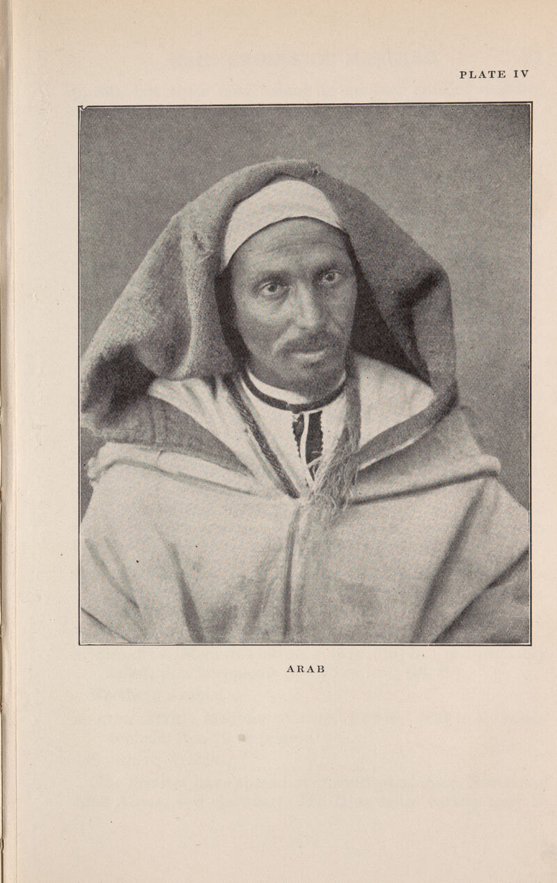 PLATE IV
