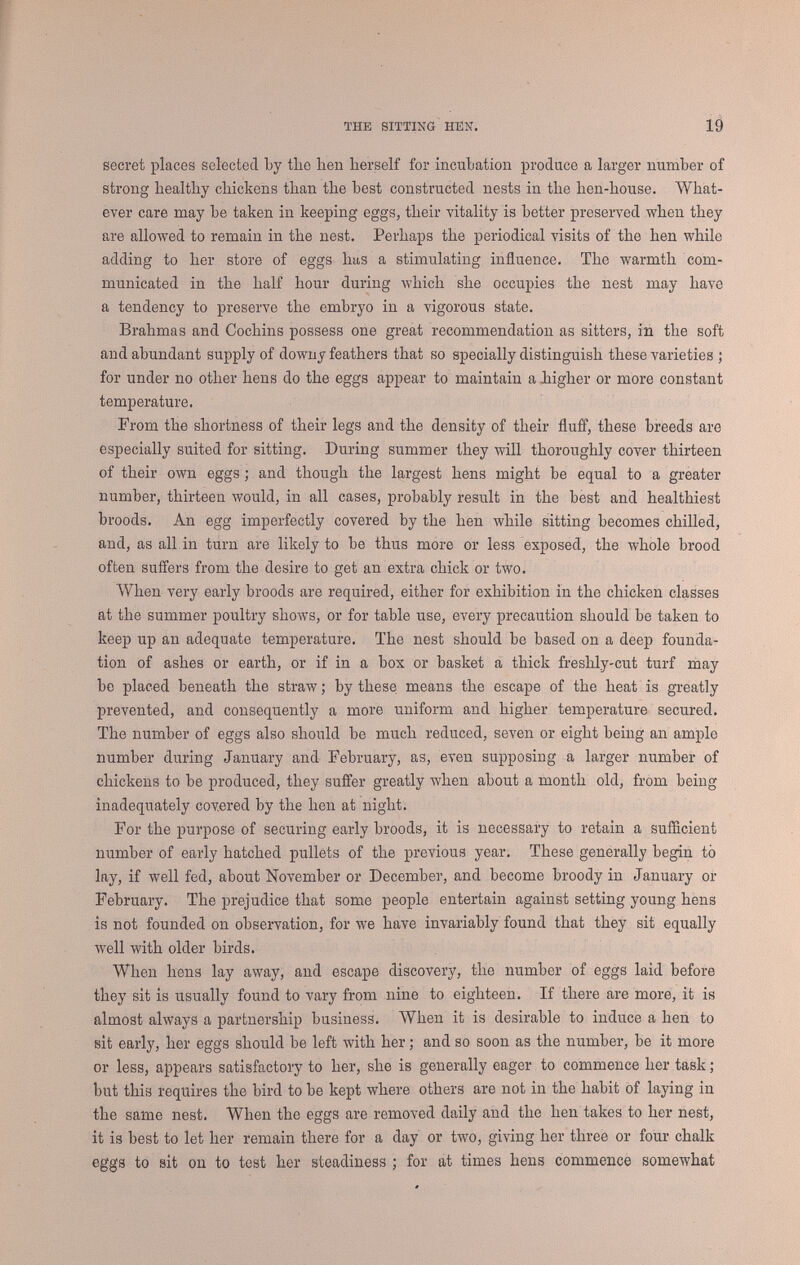 THE SITTING HEN; 21 shell. When ever the nest is found in a dirty state, from this or any other cause, take a bowl of tepid water, and with a piece of flannel wash the eggs, gently removing any substance that may be found adhering to them, replacing them again in the nest, having previously furnished it with clean straw. Do not let the temperature of the water exceed that of new milk, and, when perfectly dry, get the eggs under the hen at once, so that no chill may happen. It is unnecessary to add that, where this is neglected, the fetid atmosphere produced by the decay of the contents of the broken eggs is as injurious to the unhatched chickens as offensive to the proprietor. In this daily inspection count the eggs over, so that if by accident another hen may have gained entrance, her egg may be at once removed,—the originals having been duly marked in the first instance by making a ring with ink or pencil around their circumference, which is visible in every position of the egg. If from any cause the egg of a valuable fowl has been slightly cracked within a few days of hatching, it may be worth while to plaster up the fracture with a piece of paper and gum, or the margin of a sheet of postage stamps, as numerous instances are on record where such eggs have hatched in due time, and the progeny flourished. Our own practice is to examine the eggs at the end of a week, and remove those not fertile ; this is best accomplished at night by the aid of a candle, or still better, a paraffine lamp, and a piece of cardboard, such as the cover of an octavo volume, with an oval hole cut in the centre, not sufficiently large to allow an egg to pass through. The cardboard is held near the light, and the egg to be examined placed against the opening. After being sat upon for a week, the fertile eggs are perfectly opaque, excepting at the larger end, where the air-vesicle exists, and the sterile eggs are readily distinguished, being correctly described by the adjective clear, which is usually applied to them. A little practice renders the distinction easy. The clear eggs being removed, more room remains for those that are fertile, and they receive a greater share of warmth. Those who follow this plan will find it advantageous to sit two hens on the same day, and if, on examining both nests at the expiration of a week, -many sterile eggs are discovered, the whole of the remaittder may be given to one hen, and a fresh setting placed under the other ; the clear eggs being carefully preservedfas they are valuable as food for thé young broods. In some districts, it is usual to test the eggs on the eighteenth or nineteenth day, by placing them in a bowl of tepid water ; those containing living chickens are in immediate motion, bobbing and reeling on the smooth surface. These are wiped, and returned to the hen, the others being rejected ; but when the clear eggs are removed on the eighth day, the proceeding is not required, and from the hazard of chilling the eggs by too low, or injuring them by too high a temperature, the plan is, in our opinion, decidedly objectionable. Hens' eggs are said to hatch on the completion of the tv/enty-first day ; but where the eggs are fresh, the sitter attentive, and the weather warm, this period is frequently reduced by several hours. We should think the brood likely to turn out an indifferent one if, when the eggs were placed under the hen at roosting