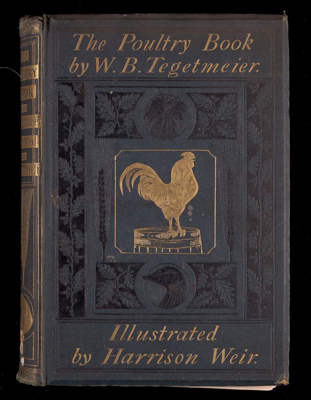 digitised image 1