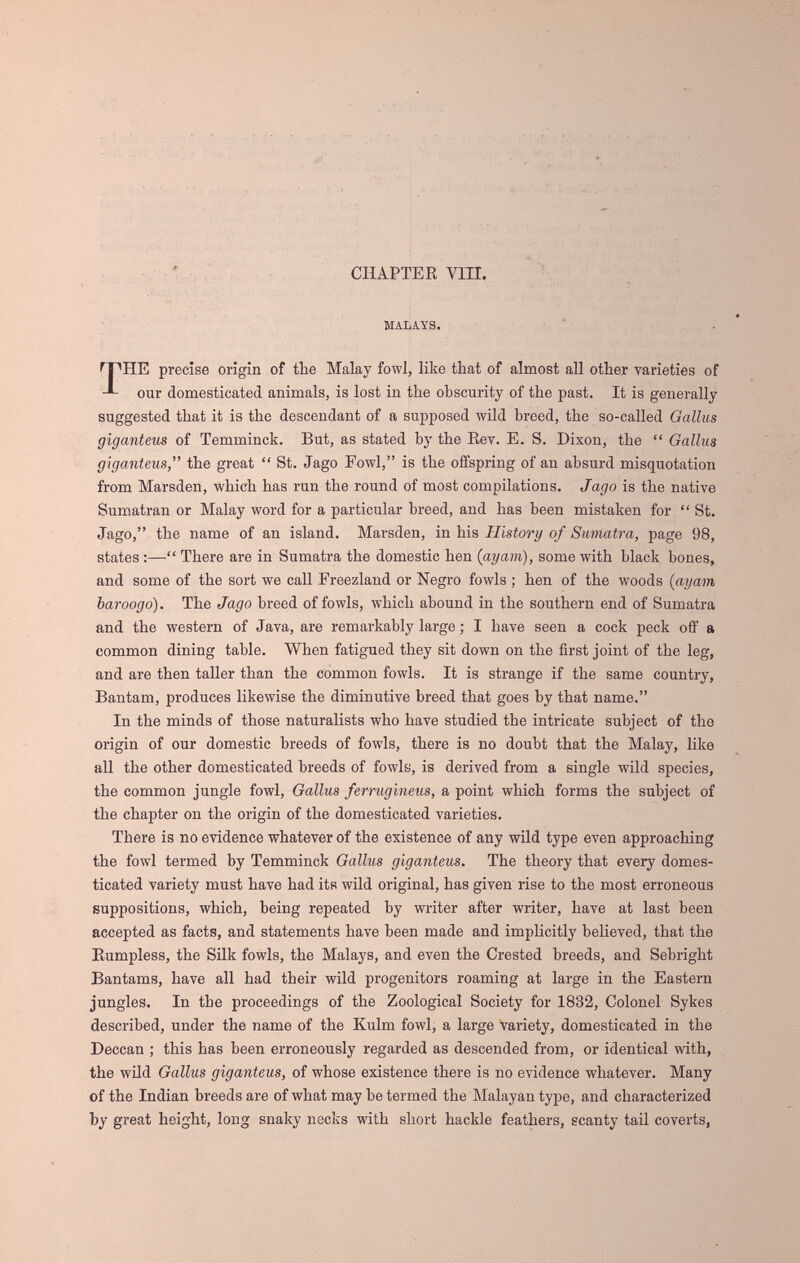 CHAPTEE Vili. MALAYS, HE precise origin of the Malay fowl, like that of almost all other varieties of our domesticated animals, is lost in the obscurity of the past. It is generally suggested that it is the descendant of a supposed wild breed, the so-called Gallus giganteus of Temminck. But, as stated by the Eev. E. S. Dixon, the  Gallus gìganteus, the great  St. Jago Fowl, is the offspring of an absurd misquotation from Marsden, which has run the round of most compilations. Jago is the native Sumatran or Malay word for a particular breed, and has been mistaken for  St. Jago, the name of an island. Marsden, in his History of Sumatra, page 98, states :— There are in Sumatra the domestic hen (ayam), some with black bones, and some of the sort we call Freezland or Negro fowls ; hen of the woods (ayam baroogo). The Jago breed of fowls, which abound in the southern end of Sumatra and the western of Java, are remarkably large ; I have seen a cock peck off a common dining table. When fatigued they sit down on the first joint of the leg, and are then taller than the common fowls. It is strange if the same country, Bantam, produces likewise the diminutive breed that goes by that name. In the minds of those naturalists who have studied the intricate subject of the origin of our domestic breeds of fowls, there is no doubt that the Malay, like all the other domesticated breeds of fowls, is derived from a single wild species, the common jungle fowl, Gallus ferrugineus, a point which forms the subject of the chapter on the origin of the domesticated varieties. There is no evidence whatever of the existence of any wild type even approaching the fowl termed by Temminck Gallus giganteus. The theory that every domes¬ ticated variety must have had its wild original, has given rise to the most erroneous suppositions, which, being repeated by writer after writer, have at last been accepted as facts, and statements have been made and implicitly believed, that the Rumpless, the Silk fowls, the Malays, and even the Crested breeds, and Sebright Bantams, have all had their wild progenitors roaming at large in the Eastern jungles. In the proceedings of the Zoological Society for 1832, Colonel Sykes described, under the name of the Kulm fowl, a large variety, domesticated in the Deccan ; this has been erroneously regarded as descended from, or identical with, the wild Gallus giganteus, of whose existence there is no evidence whatever. Many of the Indian breeds are of what may be termed the Malayan type, and characterized by great height, long snaky necks with short hackle feathers, scanty tail coverts,