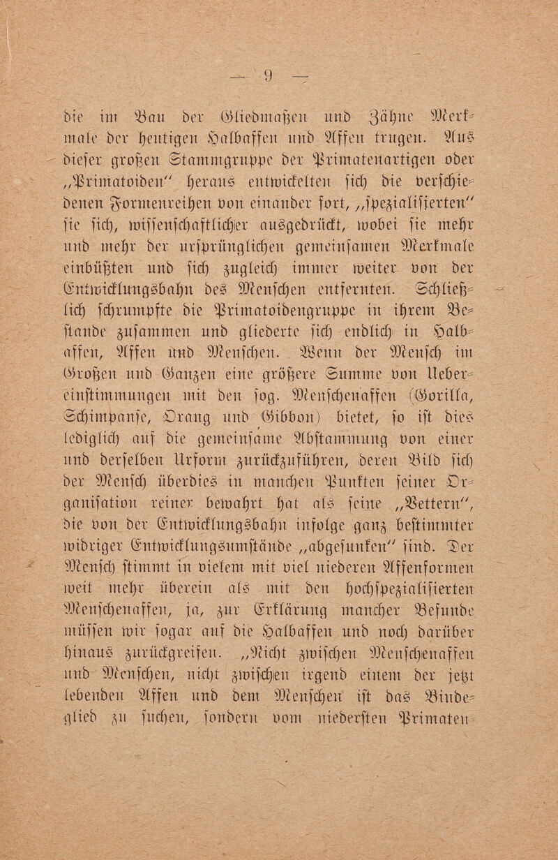bie im SSou ber (Mebmafjeu unb 3ciljne ШгхЬ tnaíe ber heutigen föaibaffeit imb ЗДеп fragen. Шио - biefer großen 8tantmgruppe ber ^rimateiiartigeit ober „Sßrimatoiben beraub entmideíten fid) bíe üerfdjie- benen $orutcnreü)eit Doit einâuber fort, „fpeftiaítfiertcn fie fid), miffenfd)aftííd)jer auégebrücft, шobéi fie mèÇr unb ntef)r ber urfprüttgttd)eu gemeinfànteii Merfmaíe einbüßten unb fid) jugíeidj immer metter Dort ber ®ntimtfínug§bal)it ЬеЗ Sttenfdjen entfernten. 3d) lie íid) fdjuunpfte bie ^ r i m a t o i b e 11 g r u p p e in tarent 93e= ftanbe §ii fant m en unb gíicbertc fid) eitblid) in *òaib affeit, ОД en nnb 9Jcenfd)eit. Semi ber SDkitfd) int Okofjen unb $an§en eine größere ©untme Doit lieber éinftimmungen mit ben fog. s)}leufdj en äffen (Önmifa, Sd)impaiife, Drang unb (Gibbon) bietet, fo ift bte£ t tebigíid) auf bie gemeinfame ífbftainmuitg ooit einer itnb berfeíbeit Urform ^urüd^ufítí)reit, bereit 33ííb fid) ber sD?enfdj it b erb i es in maudjeu fünften feiner С г: gaitifatioit reiner beimií)rt I)at ate feine „Sßetteru, bie Doit ber (bmuicHung§baí)u infolge gan§ beftimntter r~ mibriger @ntmi(j|ungêuinfiânbe „abgefuitfen fiitb. Ter sJ)¿citfd) ftimmt tu oieíent mit oieí itiebereit 3lffenforinen lueit meí)r übereilt als mit ben ï)od)fpe§iaIifierteit SKeufdjeuaffen, ja, §ur (Srfíarititg maudjer 93cfunbe muffen mir logar auf bie ô a ib äffen unb nod) bariiber í)iitauc> juritcigreifen. ,,sJJid)t gmifdjen 9ftenfd)ieitaffeu nub S))i4vnfd)en, n i ci) t ¿toifdjien irgeitb einem ber jetU íebenbeu Ufen unb bem sJOZenfd)eu ift bЛ SBinbe* gíieb (vií fliegen, fon ber и nom nieberften Primaten