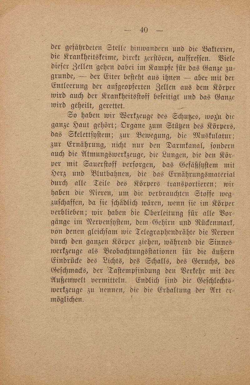 ber gefafyrbetett Stelle f)tìtiuartbeiit unb Die SBafterieit, bie $ranfï)eitêïeime, bireft jerftören, auffreffen. SSiete btefer Reiten gelten babei im Kampfe für baê tätige §u¿ grunbe, — ber (Siter befteïjt au§ iíjrten — aber mit ber (Sntíeermtg ber aufgeopferten 3eííen au^ bem Körper mirb auä) ber lîranfljeitêftoff befeitigt unb ba§ ®an^e mirb geseilt, gerettet. So fabelt mir Sßerfjeuge bes ©фи|,её/ шо§'д fete gan^e §aut gehört; Orgaue §u.m ©tü|eit beê torceré, baë Sfeíettftyftem; jur üöemegung, èie SOhtêfuIatitr; §ur fëruâfyruug, nidjt uur beu ^arntfanaí, fonbern аиф bie Штиидётег^еиде, bie Suugett, bie beu Йог> per mit ©auerftoff oerforgen, baè ©efä^ftjftem mit §er§ unb Bíütba^nen, bie baS @rncif)rung§materiaí burd) aííe Xeiíe beê $ôrperê transportieren ; um¬ gaben bie Bieren, um bie oerbraucf)ten Stoffe meg^ jufc^affen, ba fie fdjíi'bíid) mären, menu fie im Körper oerblieben; mir fyaben bie Oberleitung für aííe $or= gauge int ^eroenftyftem, bentC^eïjirn unb ЯШептаг!, oon benen gíeiá)fam mie £eíegrapí)eubraí)te bie Heroen burrf) ben ganzen Körper gießen, mäfyrettb bie Sinnet merígeuge aB ^8eobact)tung0ftatíonen für bie äußern (Sinbrücfe beê £id)t§, be§ Sdjaííé, beê ©erud)ê, be<s (^efdjmacB, ber 'Saftempfinbung ben $er!eíjr mit ber Wujsenmeít oermitteíit. (Snbíid) fiub bie ©efdjíecfíté^ ioer!§euge §u nennen, bte bte (Sríjaítung ber 9írt cr¿ mogíidjeit.
