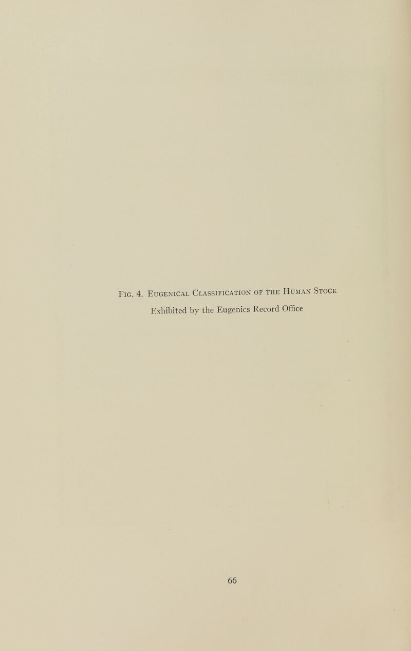 Fig. 4. Eugenical Classification of the Human Stock Exhibited by the Eugenics Record Office
