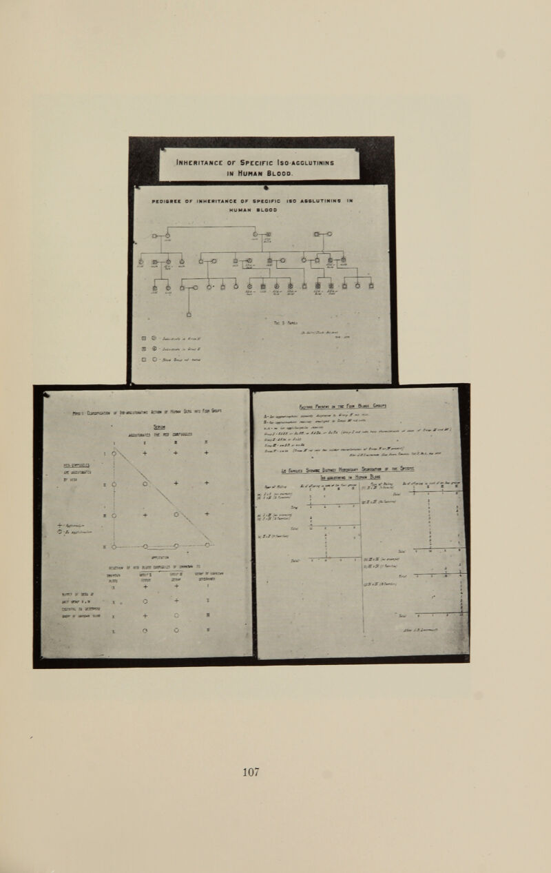 PEDIGREE OF INHERITANCE OF SPECIFIC ISO A66LUTININS IN HUMAN BLOOD 6 B—à ó ¿—o a —£ E-rO Ó^Ò é ¿ i-r-O i ¿ i é ® ¿ 6 è ± '<v à 6 ò O © -S-w. 33 <0 - ~ □ G i «es: Cu3S^^.-.-í» # hs«c í:-í» * ri.»*» Sys ei Son 5ks* sí»*íí3 r* nj jarear: ^-ricíi ¿«r S::'»'.': ? «a i C r C - O — -o SZ&XI ftpj 't î.ï t *r~r. yj 5K*7~ ¡ icrr' y na s ff i sw i .* •sühí jt