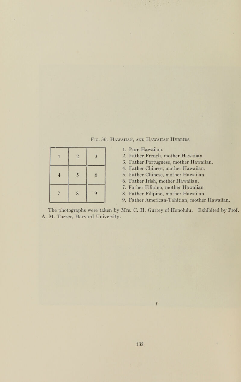Fig. 36. Hawaiian, and Hawaiian Hybrids 1. Pure Hawaiian. 1 2 3 2. Father French, mother Hawaiian. 3. Father Portuguese, mother Hawaiian. 4. Father Chinese, mother Hawaiian. 4 5 6 5. Father Chinese, mother Hawaiian. 6. Father Irish, mother Hawaiian. 7. Father Filipino, mother Hawaiian 7 8 9 8. Father Filipino, mother Hawaiian. 9. Father American-Tahitian, mother Hawaiian. The photographs were taken by Mrs. C. H. Gurrey of Honolulu. Exhibited by Prof. A. M. Tozzer, Harvard University.