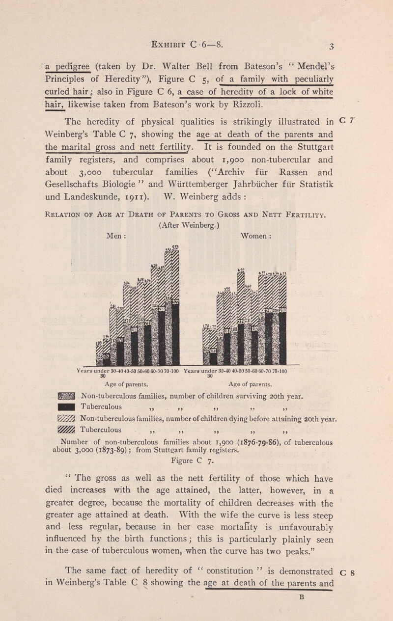 Exhibit С 6—8. 5 ■ a pedigree (taken by Dr. Walter Bell from Bateson's  Mendel's Principles of Heredity ), Figure С 5, of a family with peculiarly curled hair; also in Figure С 6, a case of heredity of a lock of white hair, likewise taken from Bateson's work by Rizzoli. The heredity of physical qualities is strikingly illustrated in С 7 Weinberg's Table С 7, showing the age at death of the parents and the marital gross and nett fertility. It is founded on the Stuttgart family registers, and comprises about 1,900 non-tubercular and about 3,000 tubercular families (Archiv für Hassen and Gesellschafts Biologie  and Württemberger Jahrbücher für Statistik und Landeskunde, 1911). W. Weinberg adds : Relation of Age at Death of Parents to Gross and Nett Fertility. (After Weinberg.) Men : Women : Years under 30-40 40-50 50-60 60-70 70-100 Years under 30-40 40-50 50-60 80-70 70-100 30 30 Age of parents. Age of parents. Non-tuberculous families, number of children surviving 20th year. ■■ Tuberculous „ >. м ,, Х0'//Л Non-tuberculous families, number of children dying before attaining 20th year. Tuberculous ,, ,, ,, ,, ,, Number of non-tuberculous families about 1,900 (1876-79-86), of tuberculous about 3,000 (1873-89) ; from Stutts;art family registers. Figure С 7.  The gross as well as the nett fertility of those which have died increases with the age attained, the latter, however, in a greater degree, because the mortality of children decreases with the greater age attained at death. With the wife the curve is less steep and less regular, because in her case mortality is unfavourably influenced by the birth functions ; this is particularly plainly seen in the case of tuberculous women, when the curve has two peaks. The same fact of heredity of  constitution  is demonstrated с 8 in Weinberg's Table С 8 showing the age at death of the parents and в