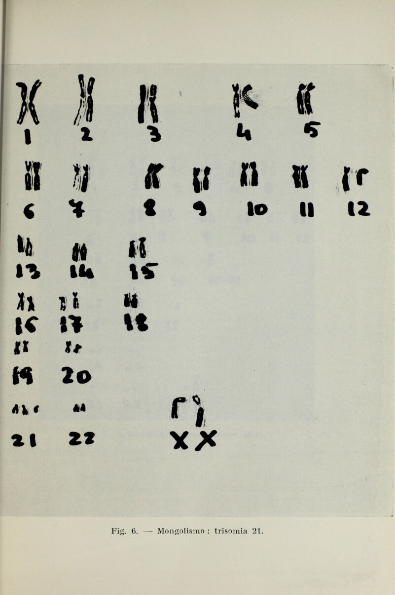 I с U ft к i* и il i i ч fi Ii« II U 2a M zt 1С и It i« с ((Пи f * lo II 12 О X* Fig. 6.