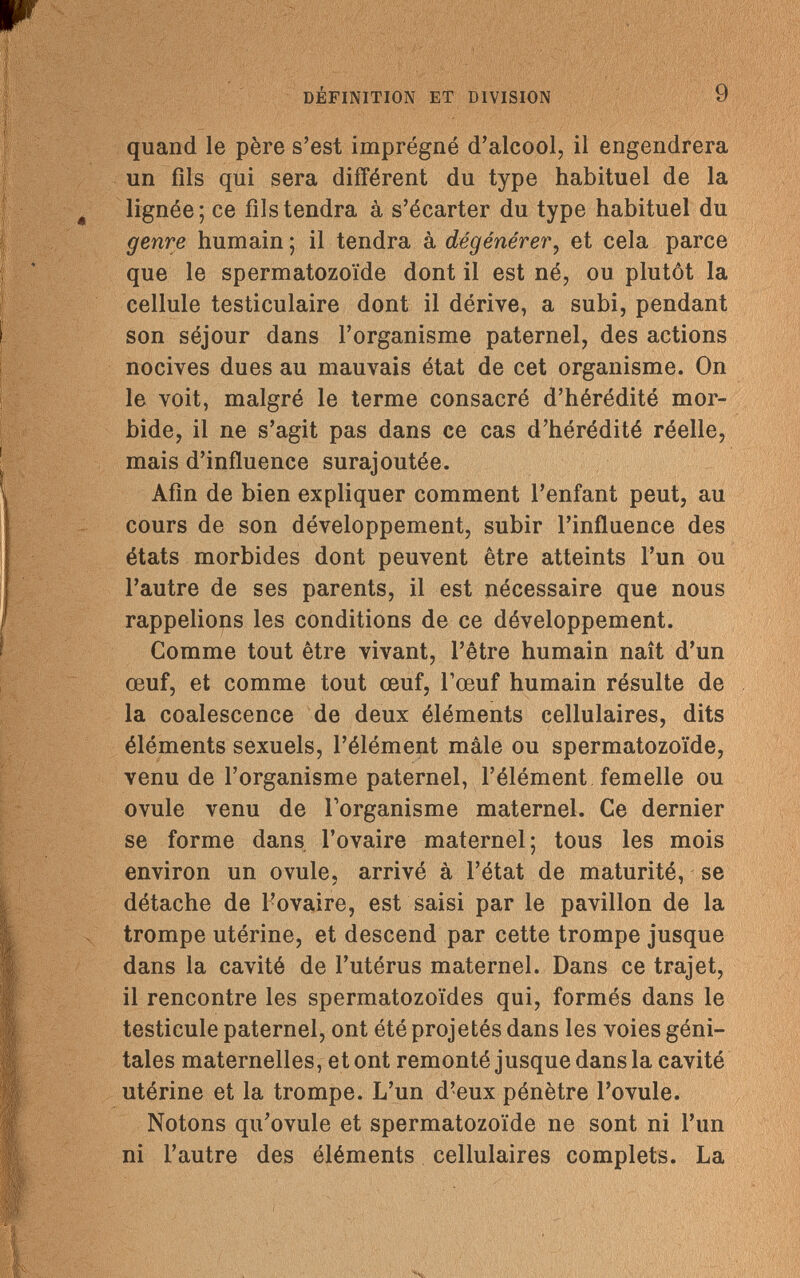 DÉFINITION ET DIVISION 9 quand le père s'est imprégné d'alcool, il engendrera un fils qui sera différent du type habituel de la lignée; ce fils tendra à s'écarter du type habituel du genre humain ; il tendra à dégénérer, et cela parce que le spermatozoïde dont il est né, ou plutôt la cellule testiculaire dont il dérive, a subi, pendant son séjour dans l'organisme paternel, des actions nocives dues au mauvais état de cet organisme. On le voit, malgré le terme consacré d'hérédité mor¬ bide, il ne s'agit pas dans ce cas d'hérédité réelle, mais d'influence surajoutée. Afin de bien expliquer comment l'enfant peut, au cours de son développement, subir l'influence des états morbides dont peuvent être atteints l'un ou l'autre de ses parents, il est nécessaire que nous rappelions les conditions de ce développement. Comme tout être vivant, l'être humain naît d'un œuf, et comme tout œuf, l'œuf humain résulte de la coalescence de deux éléments cellulaires, dits éléments sexuels, l'élément mâle ou spermatozoïde, venu de l'organisme paternel, l'élément femelle ou ovule venu de l'organisme maternel. Ce dernier se forme dans l'ovaire maternel; tous les mois environ un ovule, arrivé à l'état de maturité, se détache de Fovaire, est saisi par le pavillon de la trompe utérine, et descend par cette trompe jusque dans la cavité de l'utérus maternel. Dans ce trajet, il rencontre les spermatozoïdes qui, formés dans le testicule paternel, ont été projetés dans les voies géni¬ tales maternelles, et ont remonté jusque dans la cavité utérine et la trompe. L'un d'eux pénètre l'ovule. Notons qu'ovule et spermatozoïde ne sont ni l'un ni l'autre des éléments cellulaires complets. La