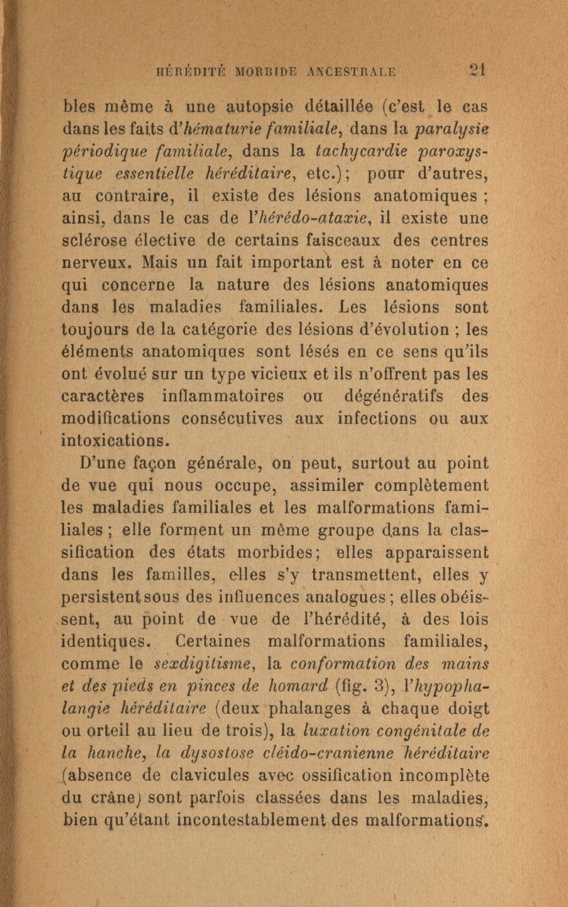 HÉRÉDITÉ MORBIDE ANCESTRALE 21 bles même à une autopsie détaillée (c'est le cas dans les faits d'hématurie familiale, dans la paralysie périodique familiale, dans la tachycardie paroxys¬ tique essentielle héréditaire, etc.); pour d'autres, au contraire, il existe des lésions anatomiques ; ainsi, dans le cas de Vliérédo-ataxie, il existe une sclérose élective de certains faisceaux des centres nerveux. Mais un fait important est à noter en ce qui concerne la nature des lésions anatomiques dans les maladies familiales. Les lésions sont toujours de la catégorie des lésions d'évolution ; les éléments anatomiques sont lésés en ce sens qu'ils ont évolué sur un type vicieux et ils n'offrent pas les caractères inflammatoires ou dégénératifs des modifications consécutives aux infections ou aux intoxications. D'une façon générale, on peut, surtout au point de vue qui nous occupe, assimiler complètement les maladies familiales et les malformations fami¬ liales ; elle forment un même groupe dans la clas¬ sification des états morbides; elles apparaissent dans les familles, elles s'y transmettent, elles y persistent sous des influences analogues; elles obéis¬ sent, au point de vue de l'hérédité, à des lois identiques. Certaines malformations familiales, comme le sexdigitisme, la conformation des mains et des pieds en pinces de homard (fig. 3), Vliypopha- langie héréditaire (deux phalanges à chaque doigt ou orteil au lieu de trois), la luxation congénitale de la hanche, la dysostose cléido-cranienne héréditaire (absence de clavicules avec ossification incomplète du crâne; sont parfois classées dans les maladies, bien qu'étant incontestablement des malformations.