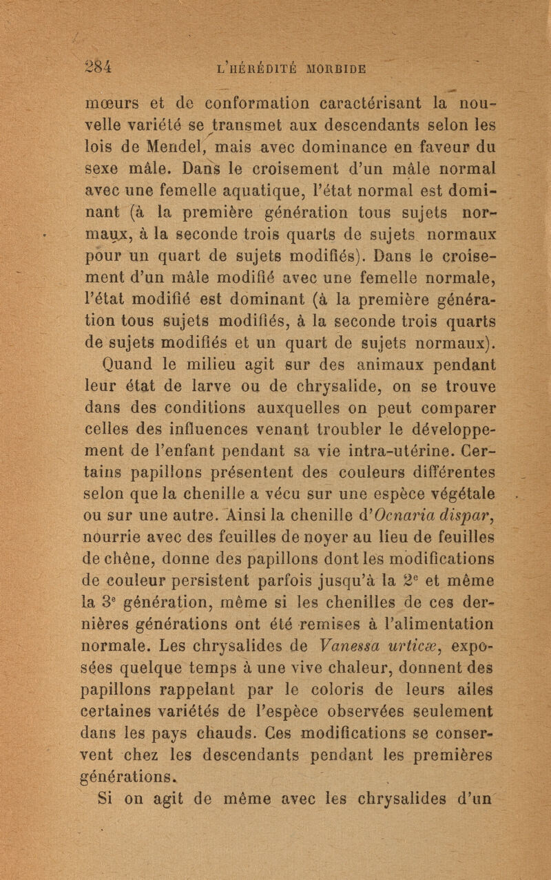 284 l'hérédité morbide mœurs et do conformation caractérisant la nou¬ velle variété se transmet aux descendants selon les y • ~ lois de Mendel, mais avec dominance en faveur du sexe mâle. Dans le croisement d'un mâle normal avec une femelle aquatique, l'état normal est domi¬ nant (à la première génération tous sujets nor¬ maux, à la seconde trois quarts de sujets normaux pour un quart de sujets modifiés). Dans le croise¬ ment d'un mâle modifié avec une femelle normale, l'état modifié est dominant (à la première généra¬ tion tous sujets modifiés, à la seconde trois quarts de sujets modifiés et un quart de sujets normaux). Quand le milieu agit sur des animaux pendant leur état de larve ou de chrysalide, on se trouve dans des conditions auxquelles on peut comparer celles des influences venant troubler le développe¬ ment de l'enfant pendant sa vie intra-utérine. Cer¬ tains papillons présentent des couleurs différentes selon que la chenille a vécu sur une espèce végétale ou sur une autre. Ainsi la chenille d'Ocnaria dispar, nourrie avec des feuilles de noyer au lieu de feuilles de chêne, donne des papillons dont les modifications de couleur persistent parfois jusqu'à la 2° et même la 3e génération, même si les chenilles de ces der¬ nières générations ont été remises à l'alimentation normale. Les chrysalides de Vanessa urticœ, expo¬ sées quelque temps à une vive chaleur, donnent des papillons rappelant par le coloris de leurs ailes certaines variétés de l'espèce observées seulement dans les pays chauds. Ces modifications se conser¬ vent chez les descendants pendant les premières générations. Si on agit de même avec les chrysalides d'un