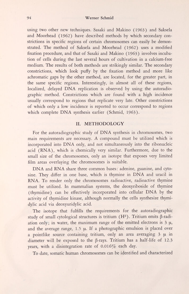 94 Werner Schmid using two other new techniques. Sasaki and Makino (1963) and Saksela and Moorhead (1962) have described methods by which secondary con¬ strictions in specific regions of certain chromosomes can easily be demon¬ strated. The method of Saksela and Moorhead (1962) uses a modified fixation procedure, and that of Sasaki and Makino (1963) involves incuba¬ tion of cells during the last several hours of cultivation in a calcium-free medium. The results of both methods are strikingly similar. The secondary constrictions, which look puffy by the fixation method and more like achromatic gaps by the other method, are located, for the greater part, in the same specific regions. Interestingly, in almost all of these regions, localized, delayed DNA replication is observed by using the autoradio¬ graphic method. Constrictions which are found with a high incidence usually correspond to regions that replicate very late. Other constrictions of which only a low incidence is reported to occur correspond to regions which complete DNA synthesis earlier (Schmid, 1963). II. METHODOLOGY For the autoradiographic study of DNA synthesis in chromosomes, two main requirements are necessary. A compound must be utilized which is incorporated into DNA only, and not simultaneously into the ribonucleic acid (RNA), which is chemically very similar. Furthermore, due to the small size of the chromosomes, only an isotope that exposes very limited film areas overlaying the chromosomes is suitable. DNA and RNA share three common bases: adenine, guanine, and cyto- sine. They differ in one base, which is thymine in DNA and uracil in RNA. To render only the chromosomes radioactive, radioactive thymine must be utilized. In mammalian systems, the deoxyriboside of thymine (thymidine) can be effectively incorporated into cellular DNA by the activity of thymidine kinase, although normally the cells synthesize thymi- dylic acid via deoxyuridylic acid. The isotope that fulfills the requirements for the autoradiographic study of small cytological structures is tritium (№). Tritium emits ß-radi- ation only; in water, the maximum range of the emitted electrons is 3 and the average range, 1.5 If a photographic emulsion is placed over a pointlike source containing tritium, only an area averaging 3 [x in diameter will be exposed to the ß-rays. Tritium has a half-life of 12.3 years, with a disintegration rate of 0.016% each day. To date, somatic human chromosomes can be identified and characterized