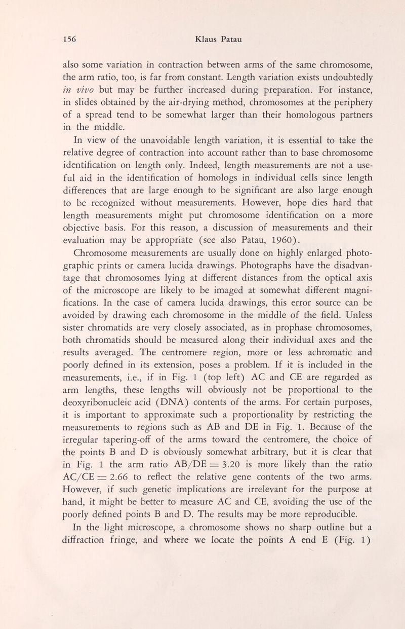 156 Klaus Patau also some variation in contraction between arms of the same chromosome, the arm ratio, too, is far from constant. Length variation exists undoubtedly in vivo but may be further increased during preparation. For instance, in slides obtained by the air-drying method, chromosomes at the periphery of a spread tend to be somewhat larger than their homologous partners in the middle. In view of the unavoidable length variation, it is essential to take the relative degree of contraction into account rather than to base chromosome identification on length only. Indeed, length measurements are not a use¬ ful aid in the identification of homologs in individual cells since length differences that are large enough to be significant are also large enough to be recognized without measurements. However, hope dies hard that length measurements might put chromosome identification on a more objective basis. For this reason, a discussion of measurements and their evaluation may be appropriate (see also Patau, I960). Chromosome measurements are usually done on highly enlarged photo¬ graphic prints or camera lucida drawings. Photographs have the disadvan¬ tage that chromosomes lying at different distances from the optical axis of the microscope are likely to be imaged at somewhat different magni¬ fications. In the case of camera lucida drawings, this error source can be avoided by drawing each chromosome in the middle of the field. Unless sister chromatids are very closely associated, as in prophase chromosomes, both chromatids should be measured along their individual axes and the results averaged. The centromere region, more or less achromatic and poorly defined in its extension, poses a problem. If it is included in the measurements, i.e., if in Fig. 1 (top left) AC and CE are regarded as arm lengths, these lengths will obviously not be proportional to the deoxyribonucleic acid (DNA) contents of the arms. For certain purposes, it is important to approximate such a proportionality by restricting the measurements to regions such as AB and DE in Fig. 1. Because of the irregular tapering-off of the arms toward the centromere, the choice of the points В and D is obviously somewhat arbitrary, but it is clear that in Fig. 1 the arm ratio AB/DE = 3.20 is more likely than the ratio AC/CE z:r 2.66 to reflect the relative gene contents of the two arms. However, if such genetic implications are irrelevant for the purpose at hand, it might be better to measure AC and CE, avoiding the use of the poorly defined points В and D. The results may be more reproducible. In the light microscope, a chromosome shows no sharp outline but a diffraction fringe, and where we locate the points A end E (Fig. 1)