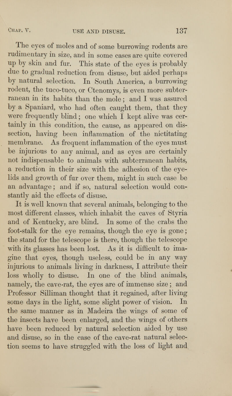 Chap. V. USE AND DISUSE. 137 The eyes of moles and of some burrowing rodents are rudimentary in size, and in some cases are quite covered up by skin and fur. This state of the eyes is probably due to gradual reduction from disuse, but aided perhaps by natural selection. In South America, a burrowing rodent, the tuco-tuco, or Ctenomys, is even more subter¬ ranean in its habits than the mole ; and I was assured by a Spaniard, who had often caught them, that they were frequently blind ; one which I kept alive was cer¬ tainly in this condition, the cause, as appeared on dis¬ section, having been inflammation of the nictitating membrane. As frequent inflammation of the eyes must be injurious to any animal, and as eyes are certainly not indispensable to animals with subterranean habits, a reduction in their size with the adhesion of the eye¬ lids and growth of fur over them, might in such case be an advantage; and if so, natural selection would con¬ stantly aid the effects of disuse. It is well known that several animals, belonging to the most different classes, which inhabit the caves of Styria and of Kentucky, are blind. In some of the crabs the foot-stalk for the eye remains, though the eye is gone ; the stand for the telescope is there, though the telescope with its glasses has been lost. As it is difficult to ima¬ gine that eyes, though useless, could be in any way injurious to animals living in darkness, I attribute their loss wholly to disuse. In one of the blind animals, namely, the cave-rat, the eyes are of immense size ; and Professor Süliman thought that it regained, after living some days in the light, some slight power of vision. In the same manner as in Madeira the wings of some of the insects have been enlarged, and the wings of others have been reduced by natural selection aided by use and disuse, so in the case of the cave-rat natural selec¬ tion seems to have struggled with the loss of light and