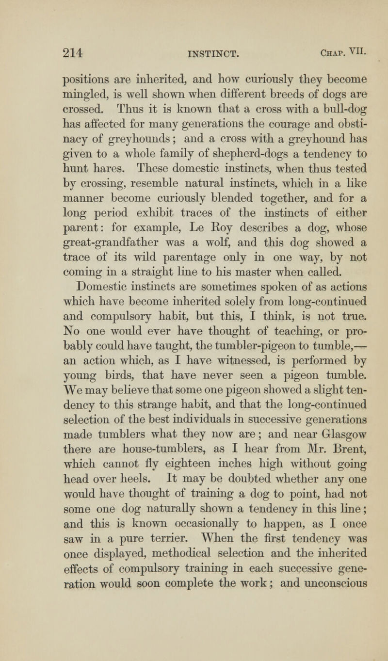 214 INSTINCT. Chap. VII. positions are inherited, and how curiously they become mingled, is well shown when different breeds of dogs are crossed. Thus it is kno\\Ti that a cross with a bull-dog has affected for many generations the courage and obsti¬ nacy of greyhounds ; and a cross with a greyhound has given to a whole family of shepherd-dogs a tendency to hunt hares. These domestic instincts, when thus tested by crossing, resemble natural instincts, which in a like manner become curiously blended together, and for a long period exhibit traces of the instincts of either parent: for example. Le Eoy describes a dog, whose great-grandfather was a wolf, and this dog showed a trace of its wild parentage only in one way, by not coming in a straight line to his master when called. Domestic instincts are sometimes spoken of as actions which have become inherited solely from long-continued and compulsory habit, but this, I think, is not true. No one would ever have thought of teaching, or pro¬ bably could have taught, the tumbler-pigeon to tumble,— an action which, as I have witnessed, is performed by young birds, that have never seen a pigeon tumble. We may believe that some one pigeon showed a slight ten¬ dency to this strange habit, and that the long-continued selection of the best individuals in successive generations made tumblers what they now are ; and near Glasgow there are house-tumblers, as I hear from Mr. Brent, луЫсЬ cannot fly eighteen inches high without going head over heels. It may be doubted whether any one would have thought of training a dog to point, had not some one dog naturally shown a tendency in this line ; and this is known occasionally to happen, as I once saw in a pure terrier. When the first tendency was once displayed, methodical selection and the inherited effects of compulsory training in each successive gene¬ ration would soon complete the work ; and unconscious